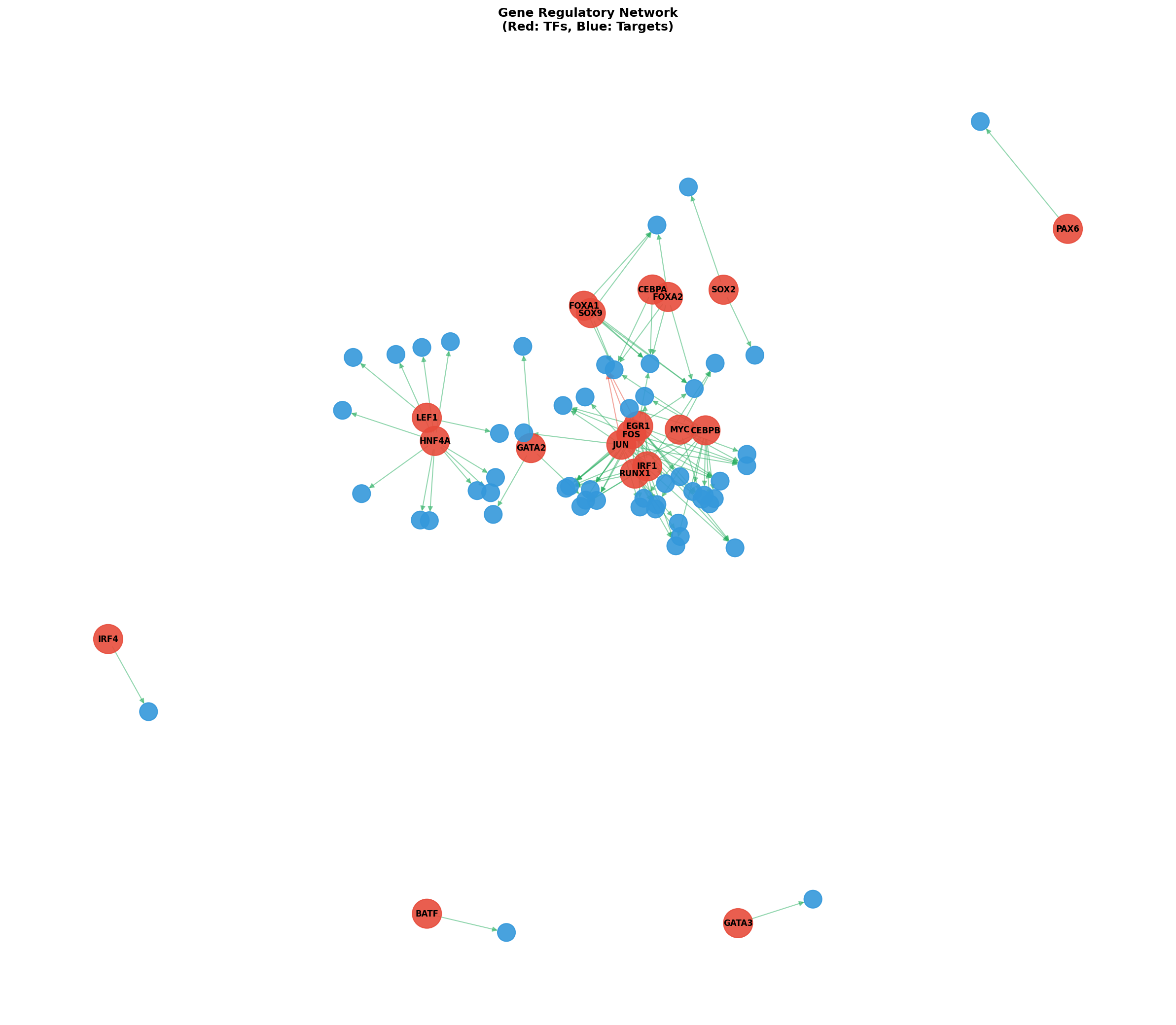 Exploratory TF-Target Association Network