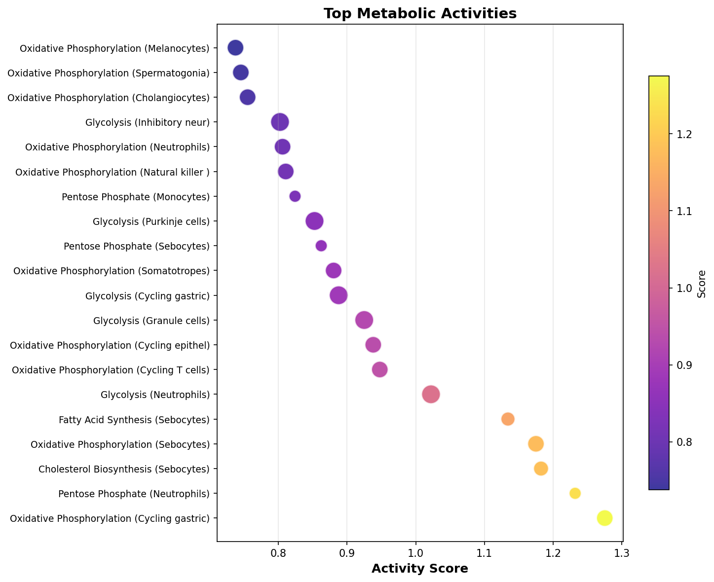 Top Metabolic Activities