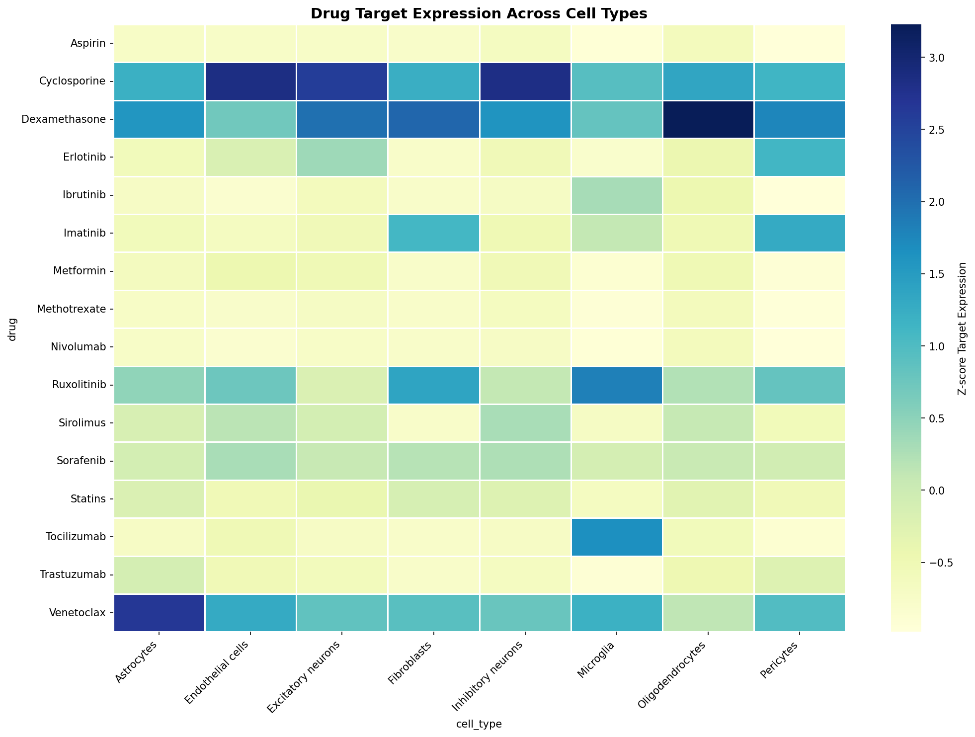 Drug Target Expression Heatmap