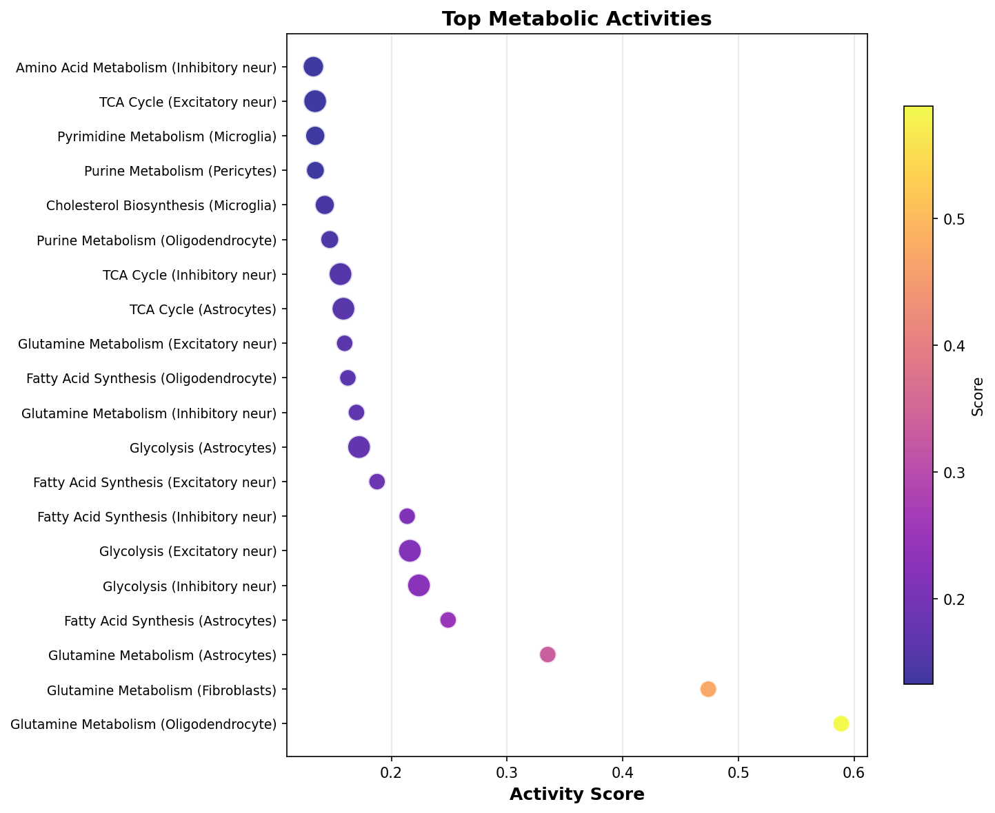 Top Metabolic Activities