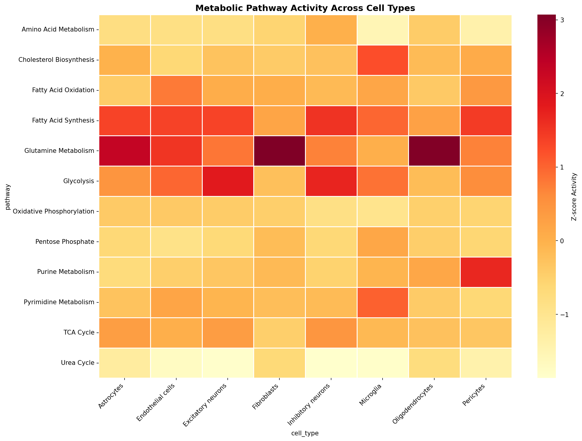 Metabolic Pathway Heatmap