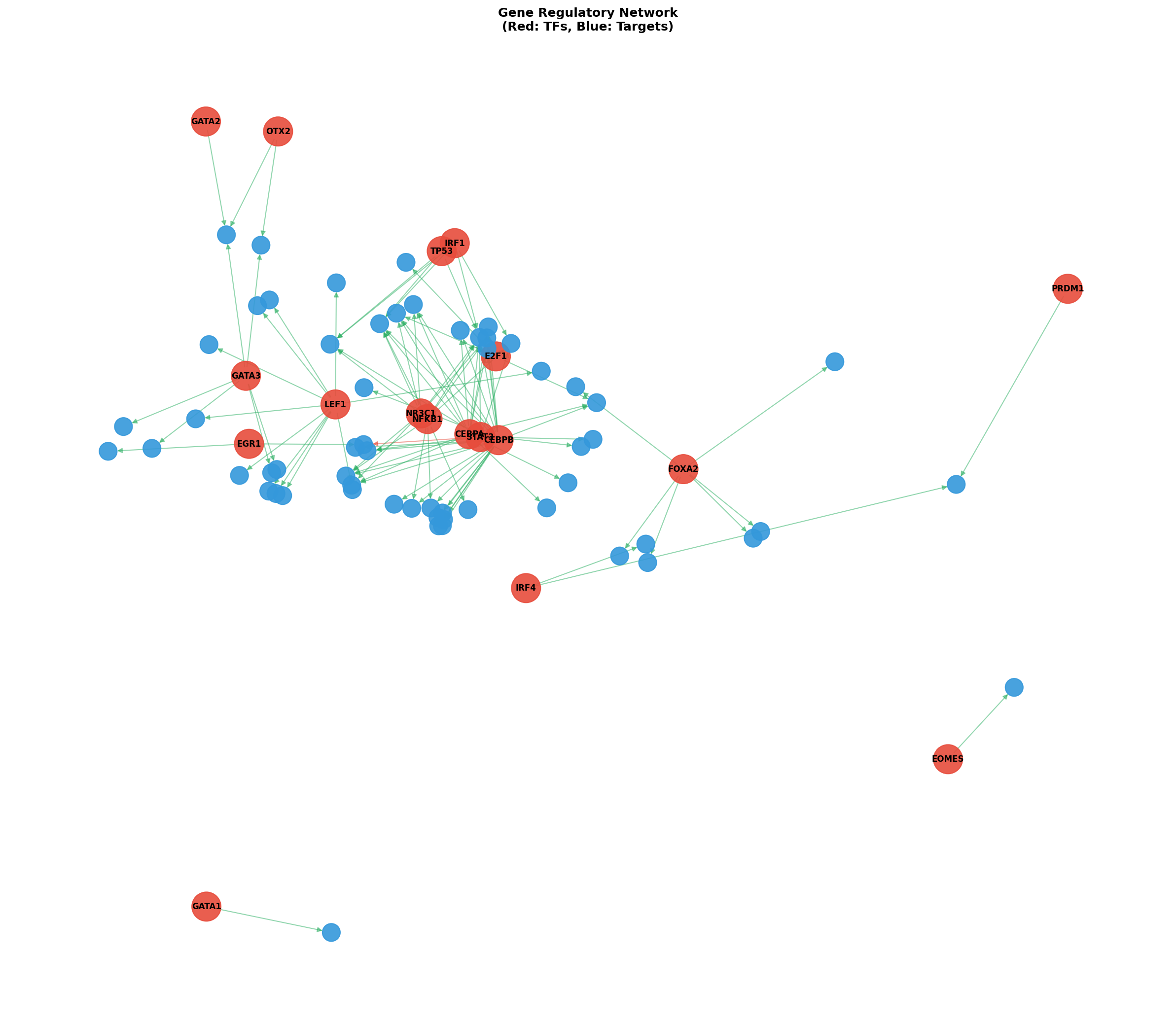Exploratory TF-Target Association Network