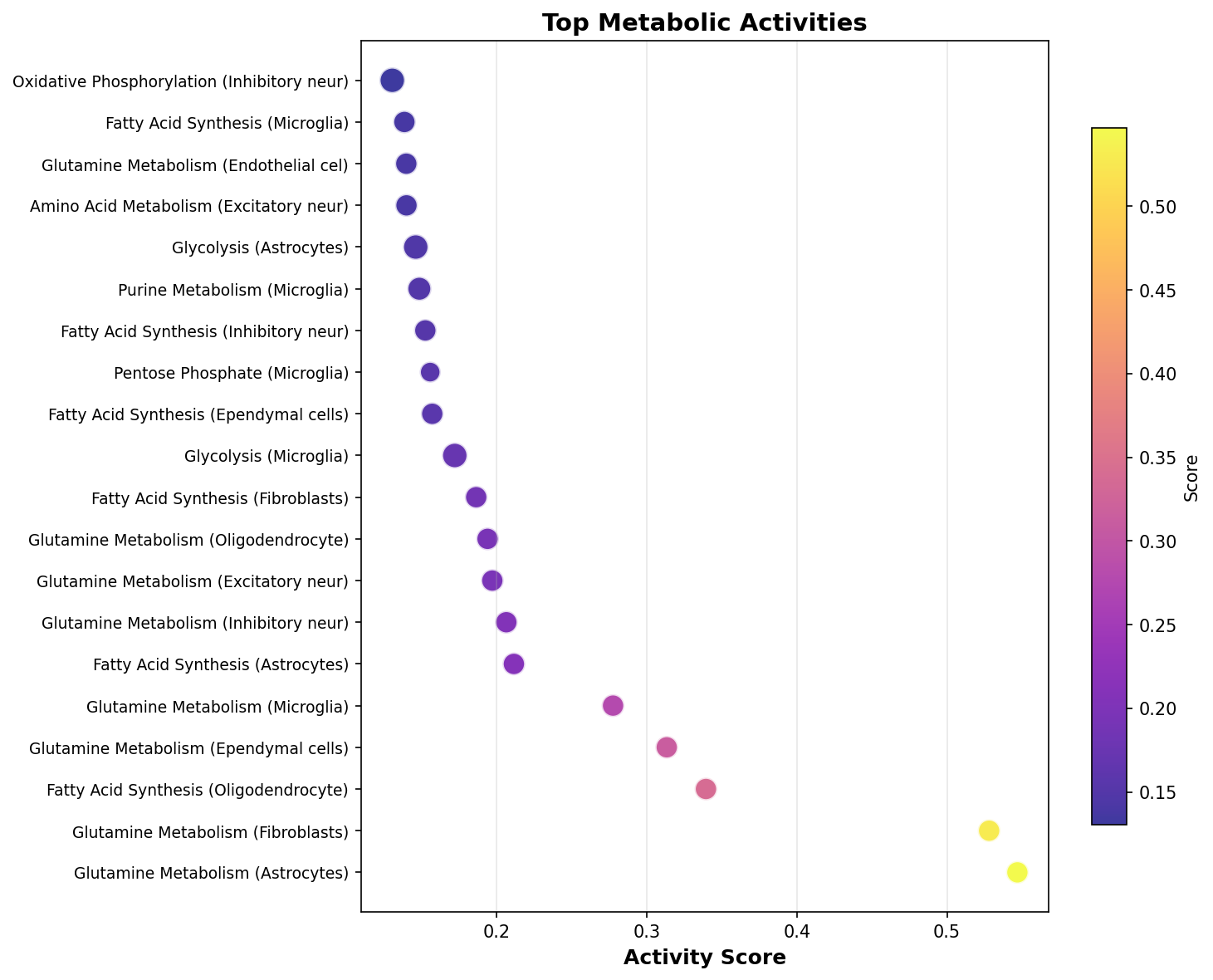 Top Metabolic Activities