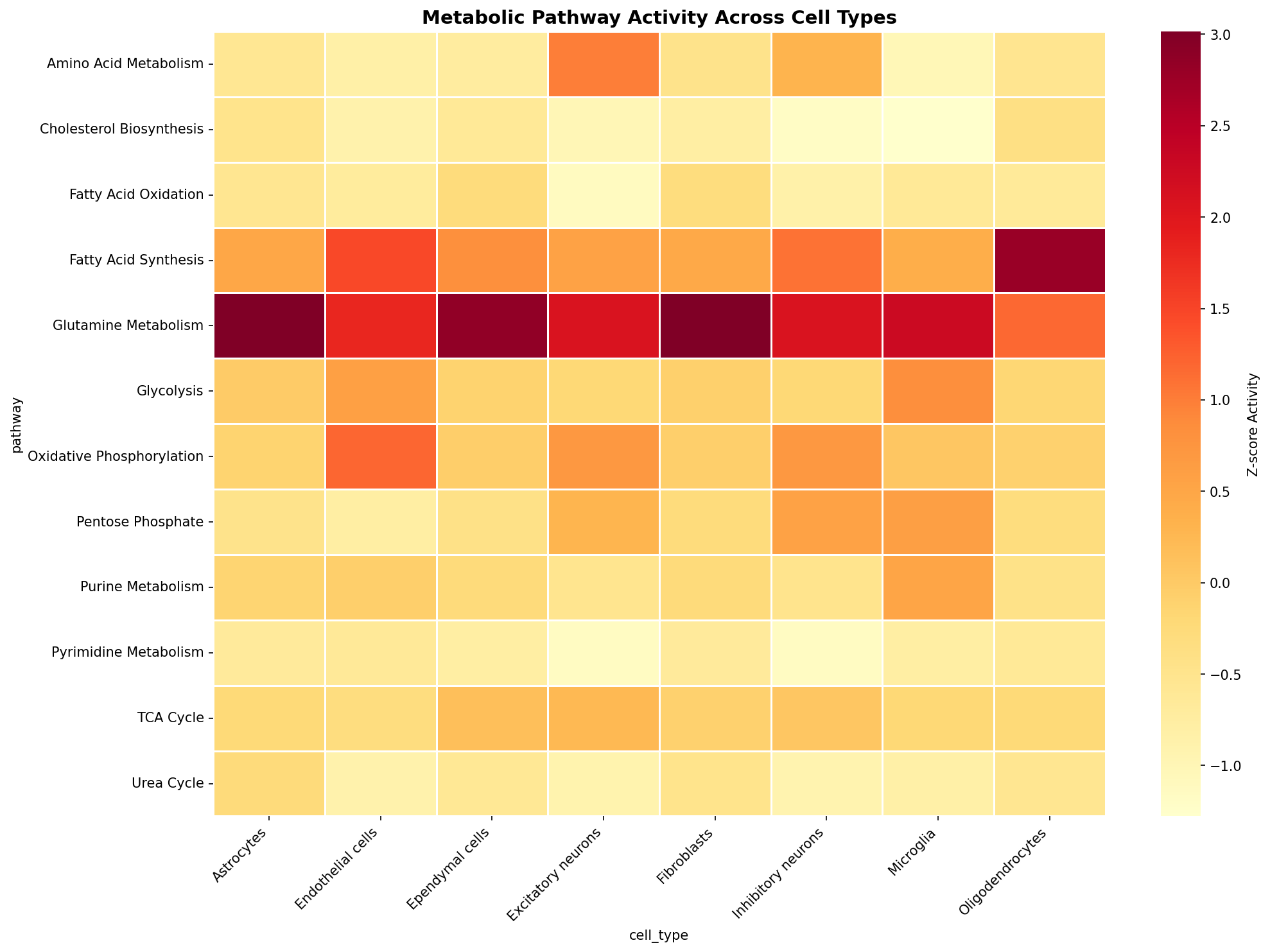 Metabolic Pathway Heatmap