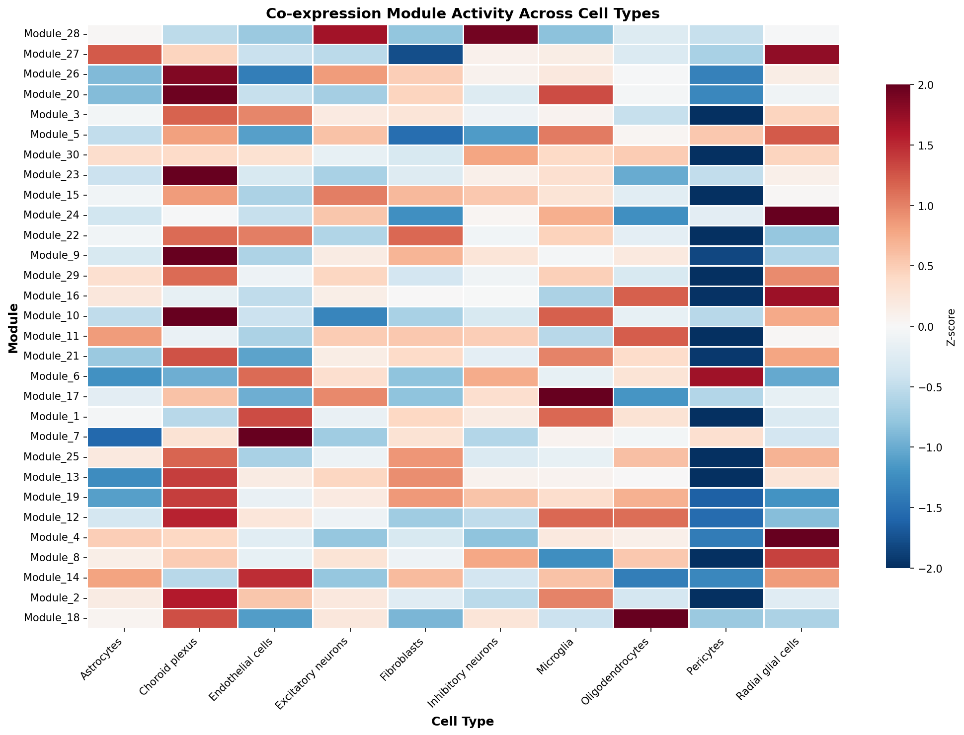 Module-Cell Type Association