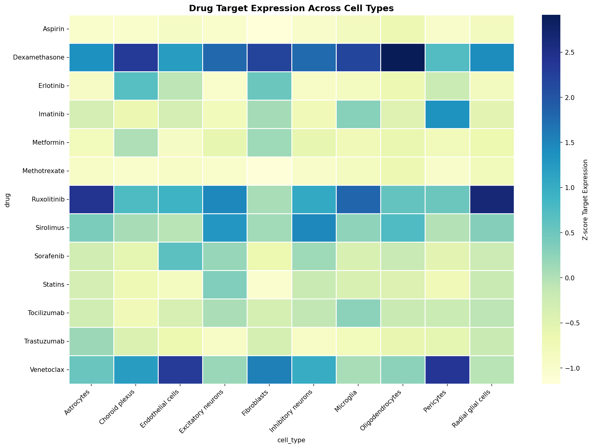 Drug Target Expression Heatmap