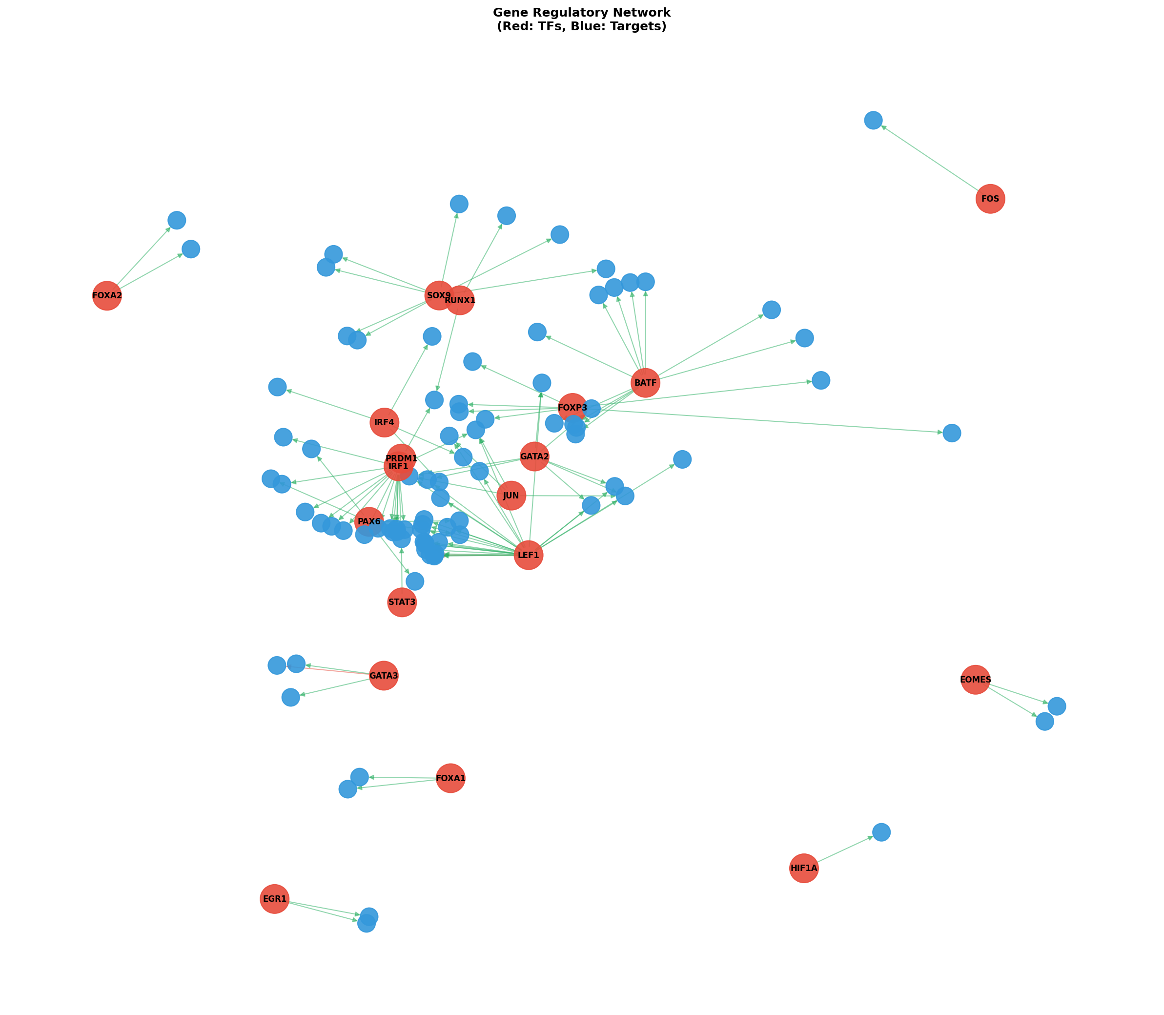 Exploratory TF-Target Association Network