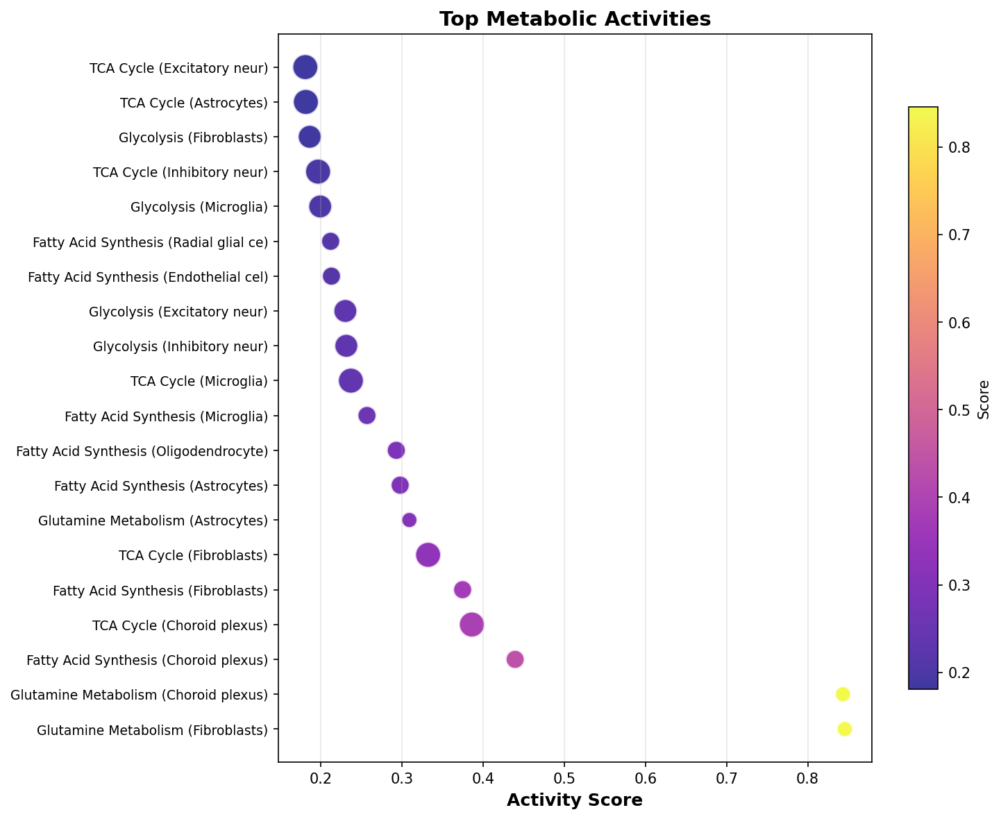 Top Metabolic Activities