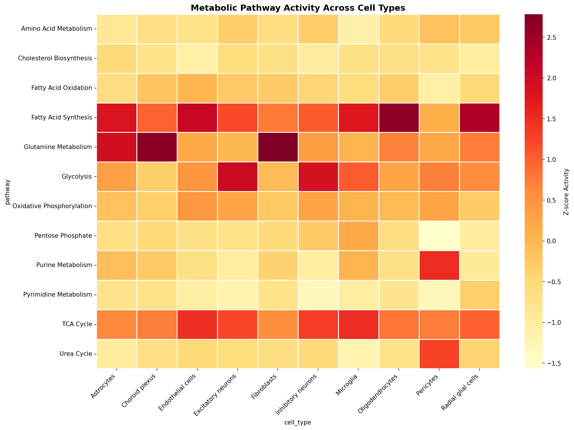Metabolic Pathway Heatmap