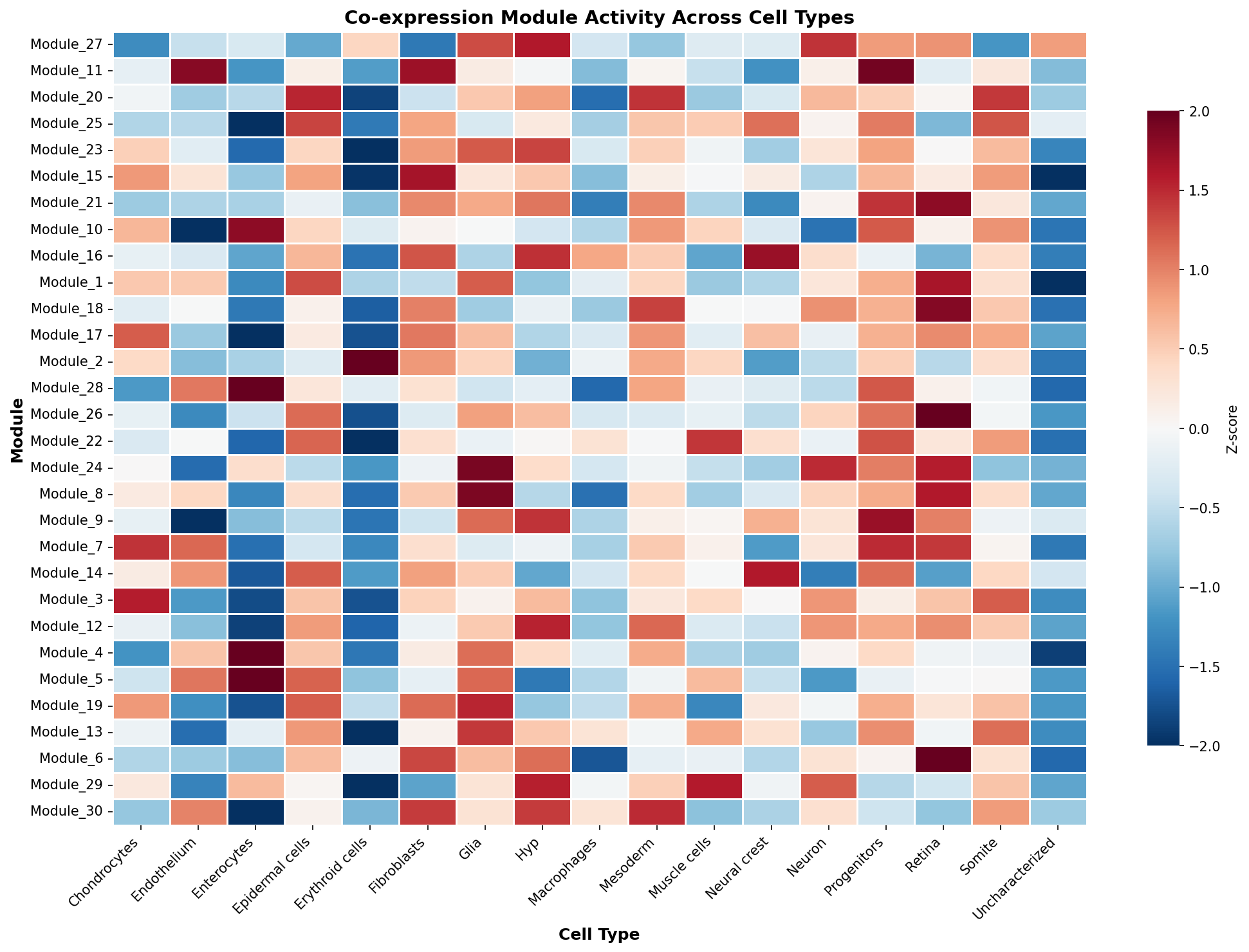 Module-Cell Type Association