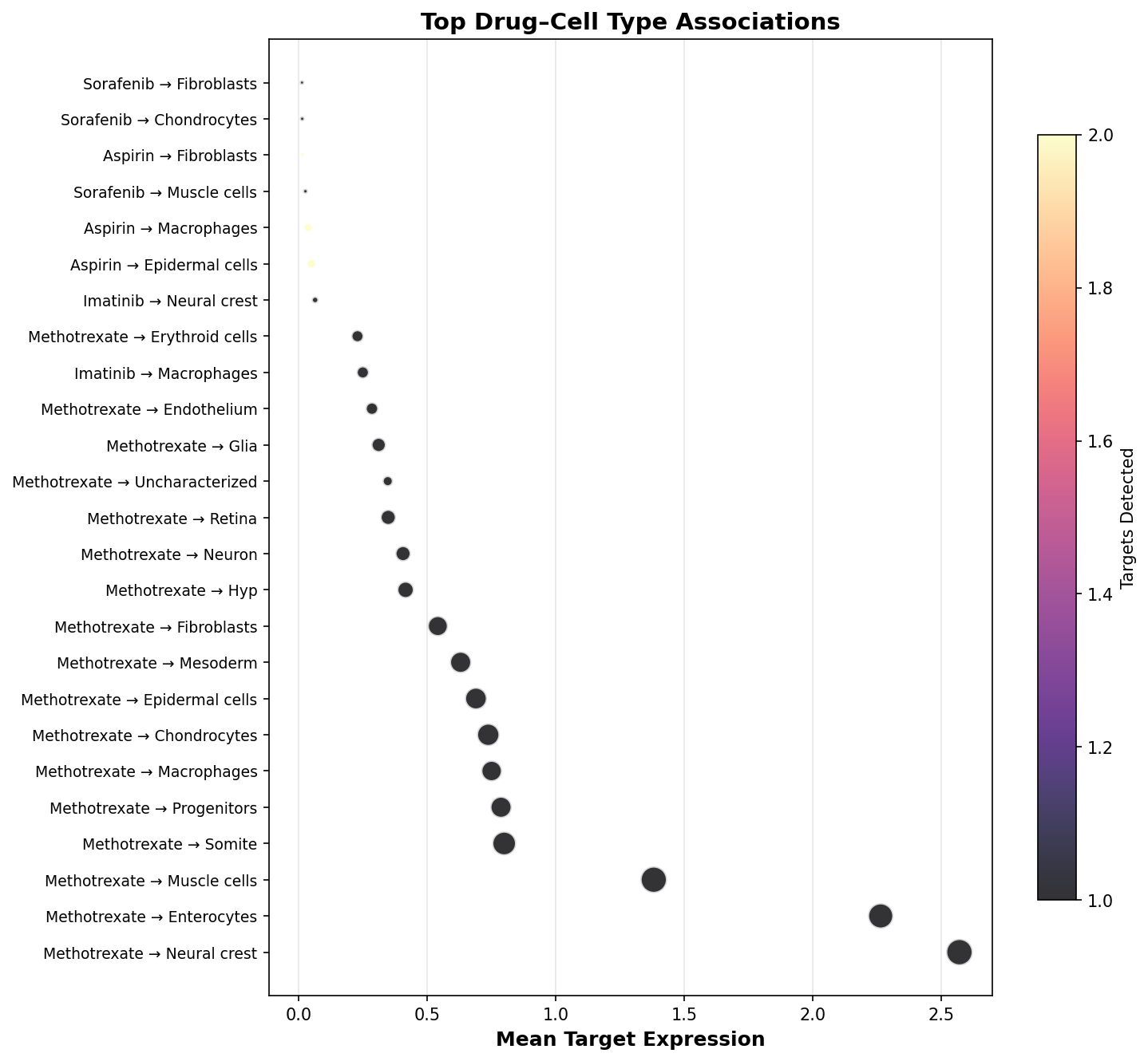 Top Drug–Cell Type Associations