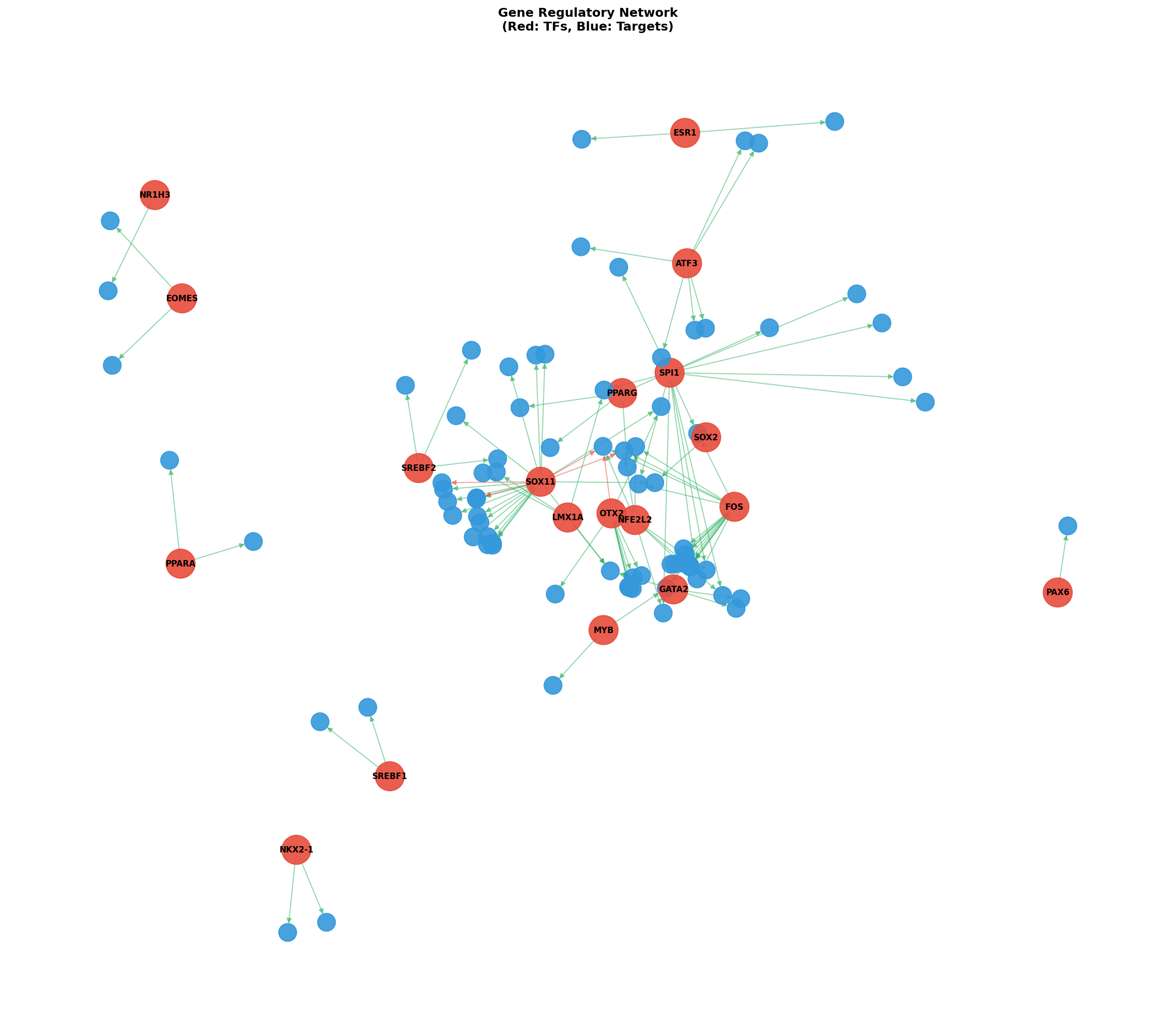 Exploratory TF-Target Association Network