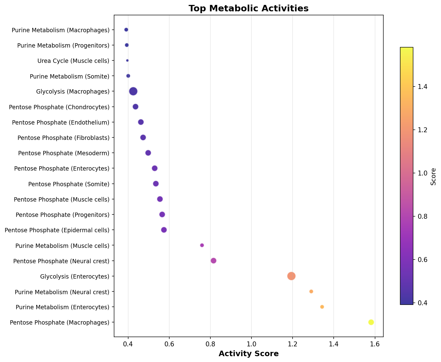 Top Metabolic Activities