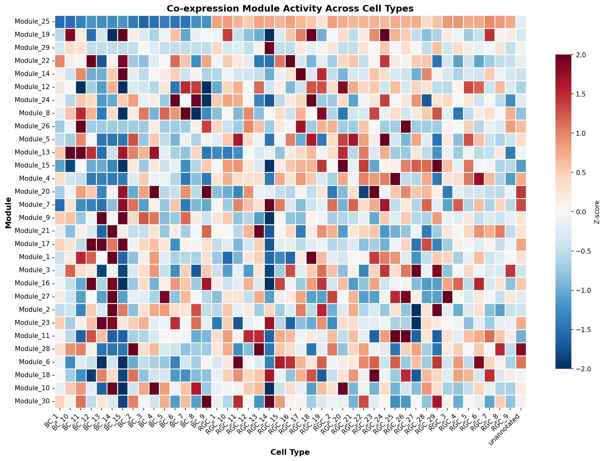 Module-Cell Type Association