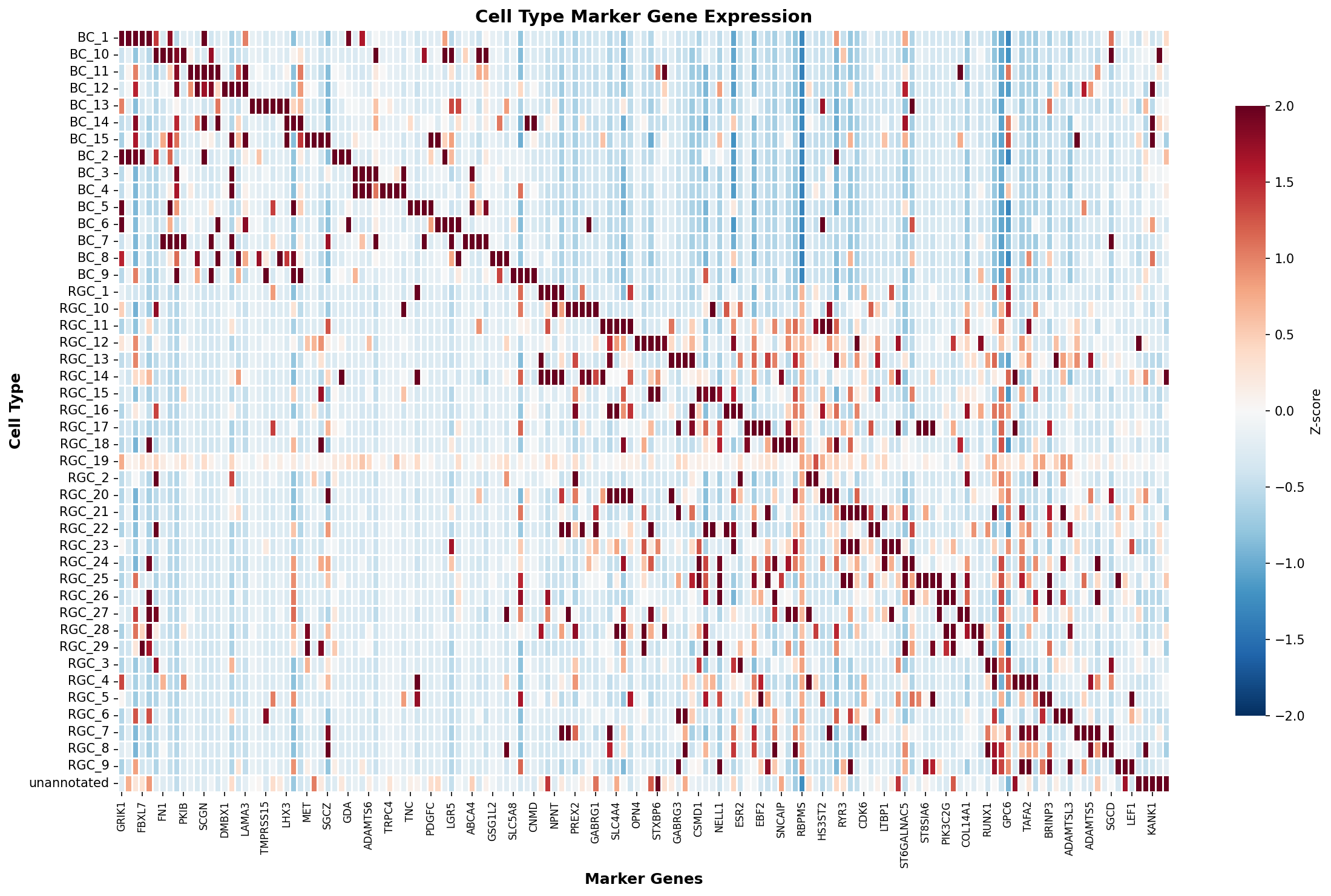 Marker Gene Heatmap