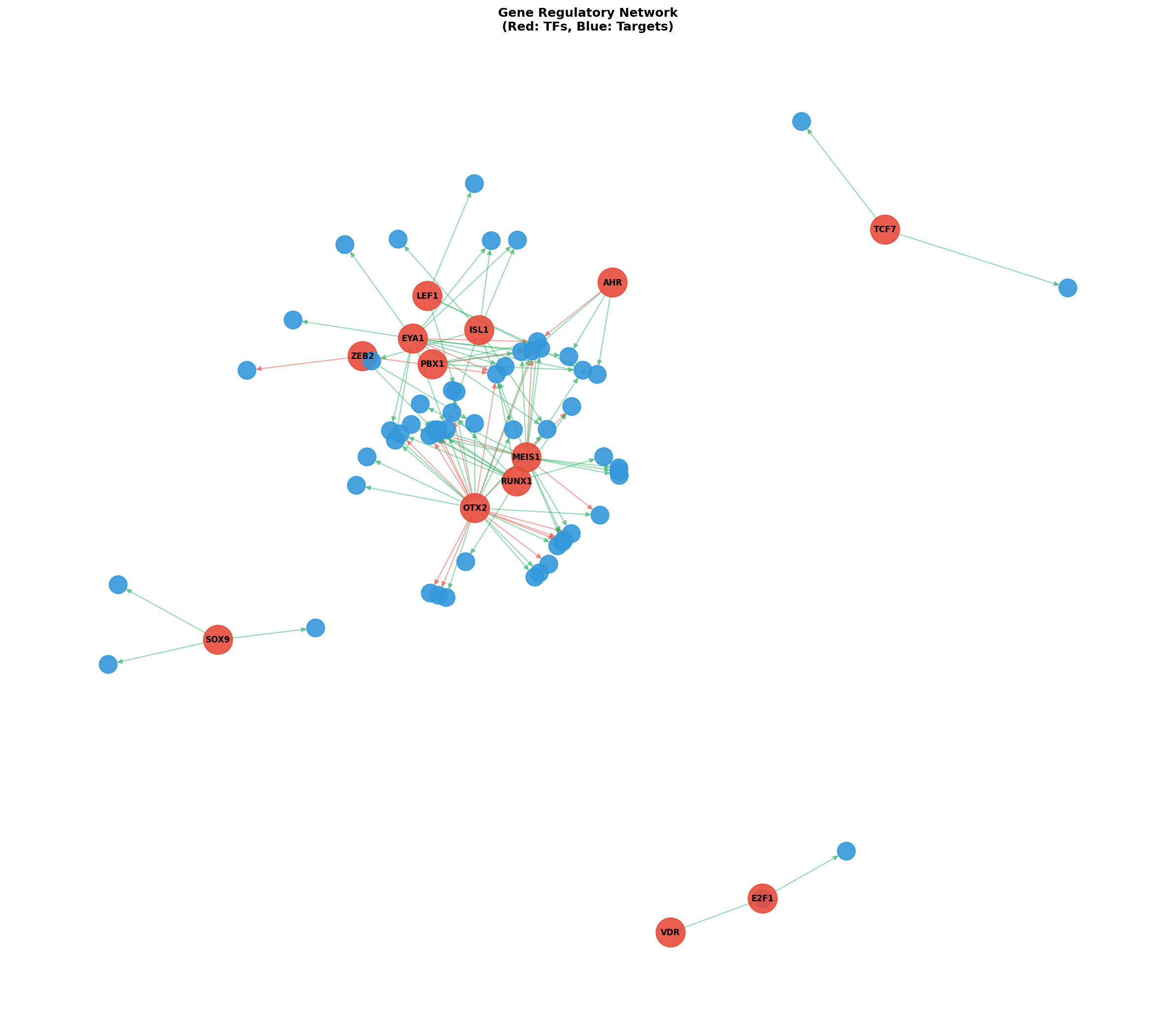 Exploratory TF-Target Association Network