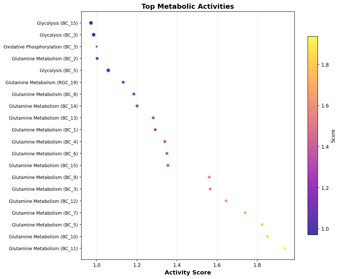 Top Metabolic Activities