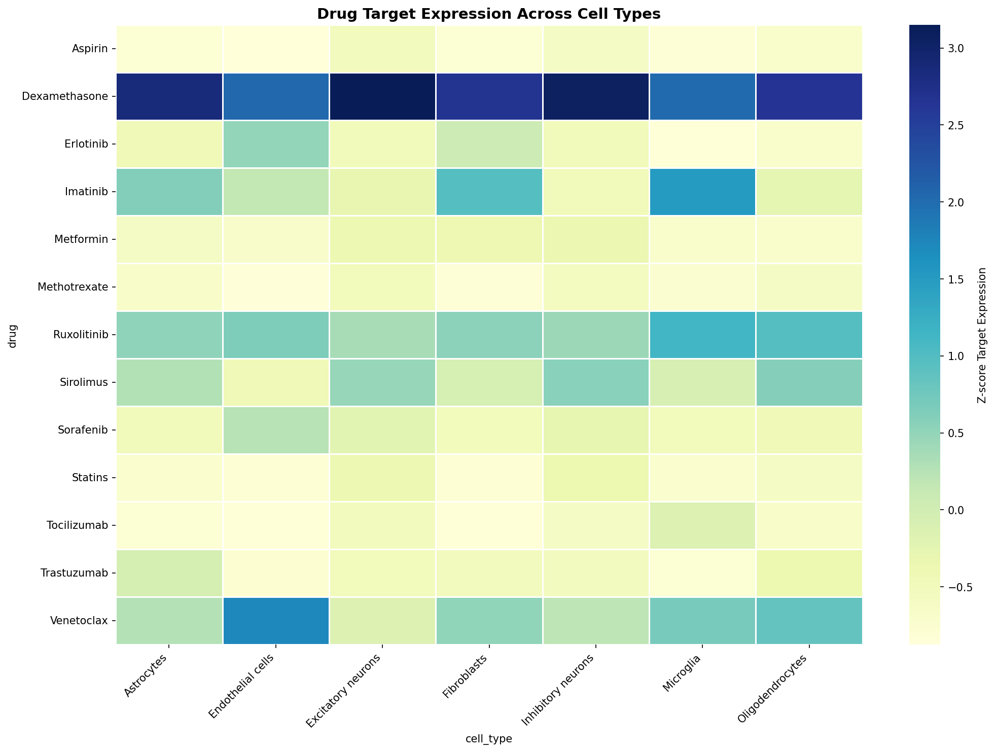 Drug Target Expression Heatmap