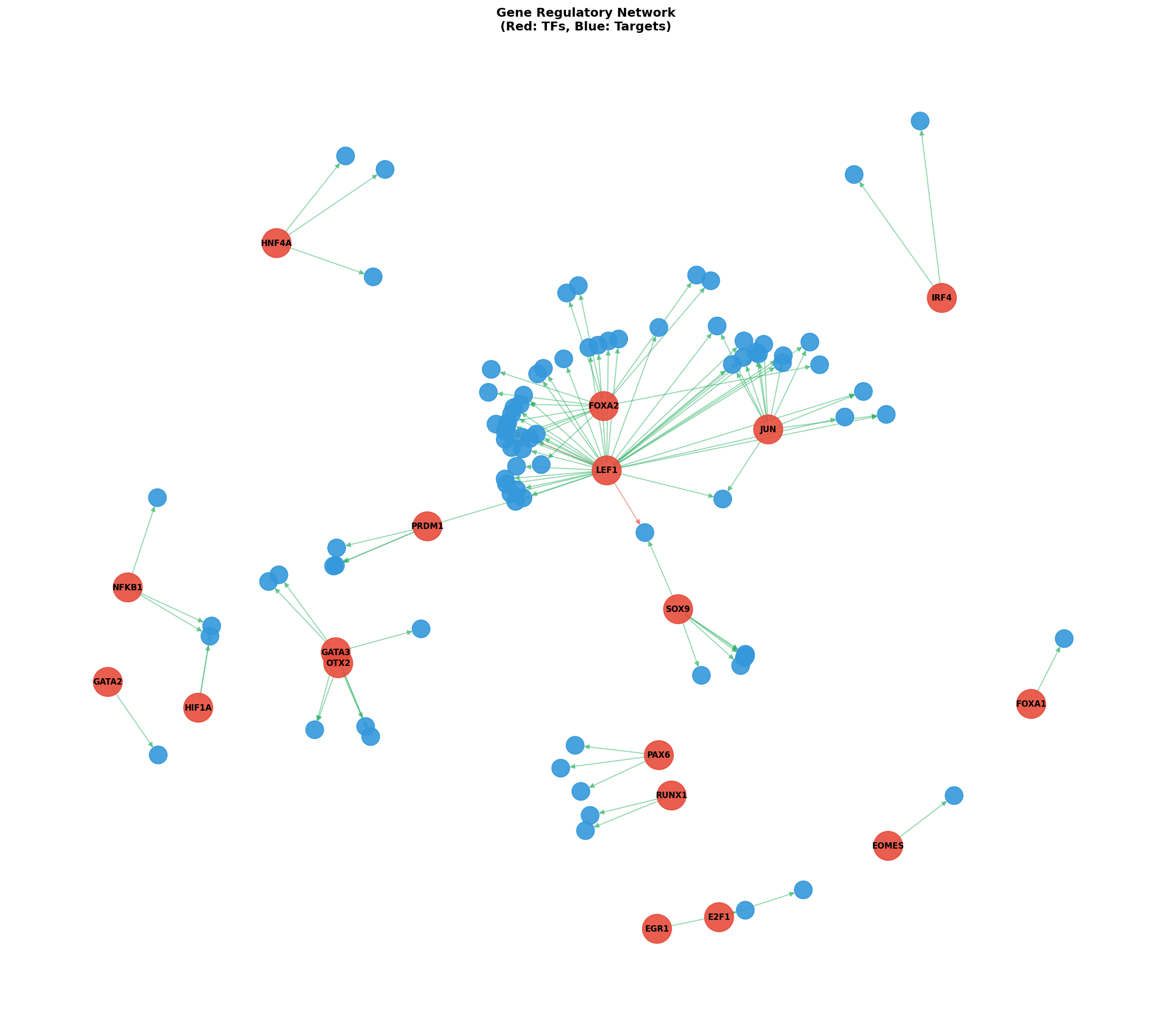 Exploratory TF-Target Association Network