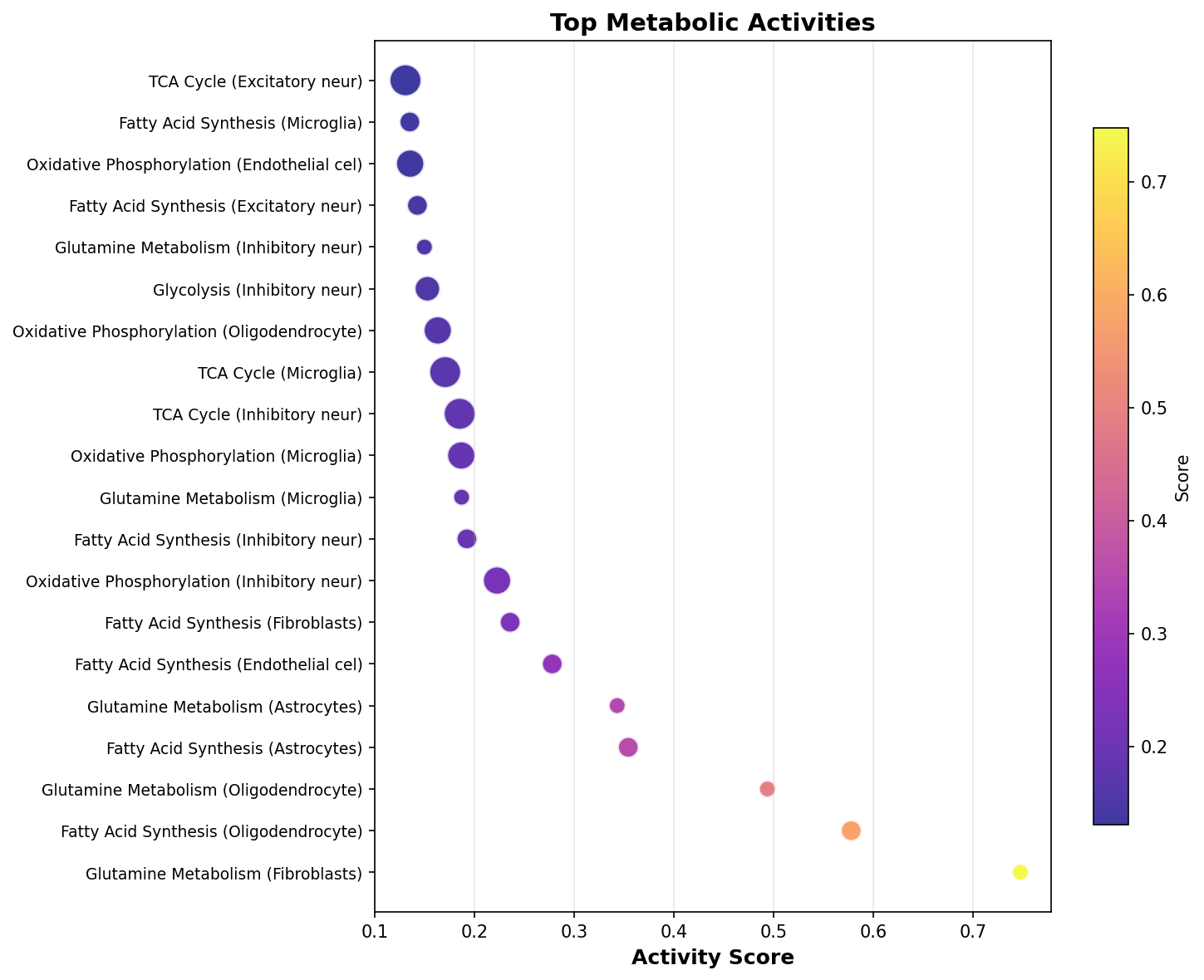 Top Metabolic Activities