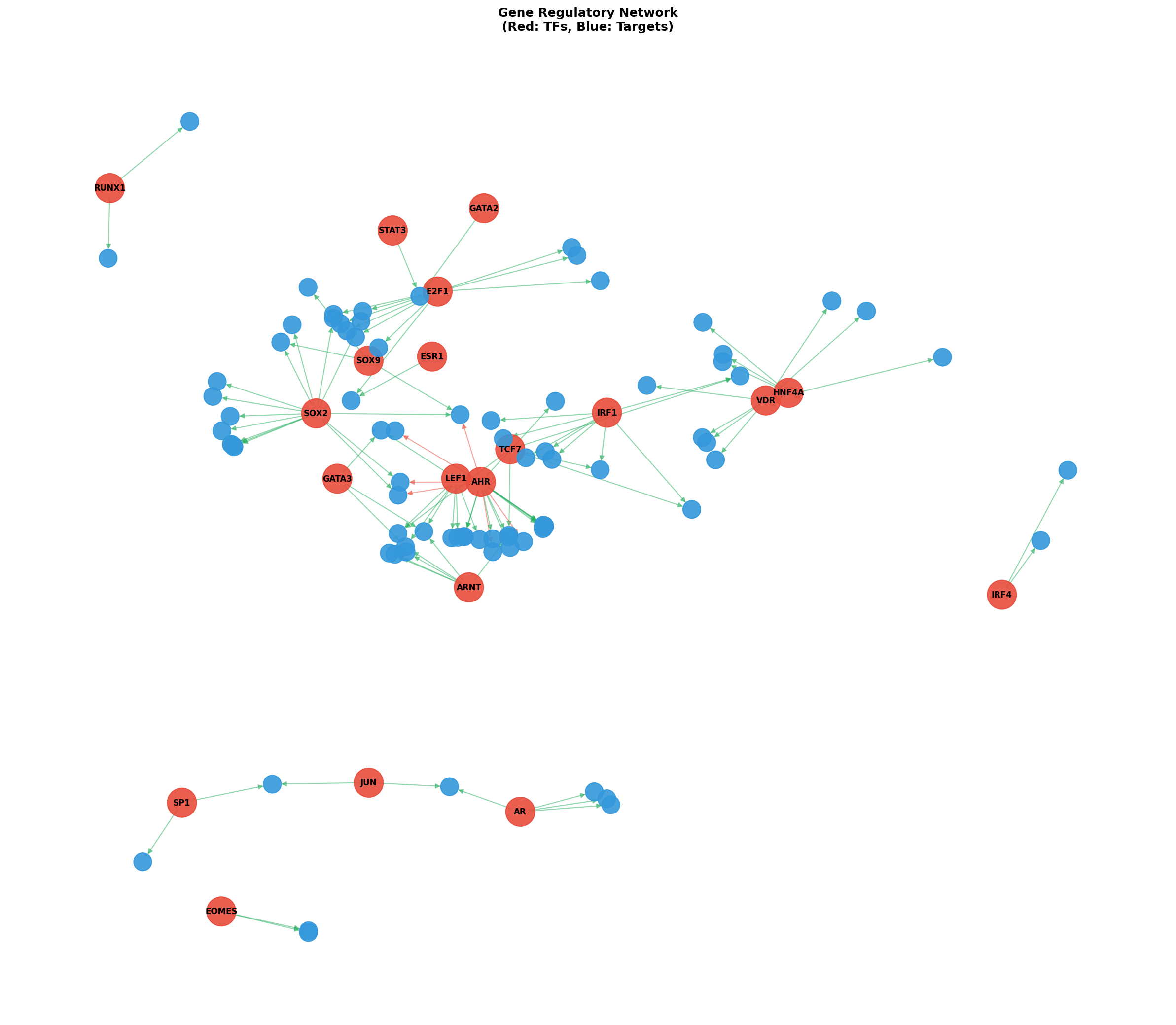 Exploratory TF-Target Association Network