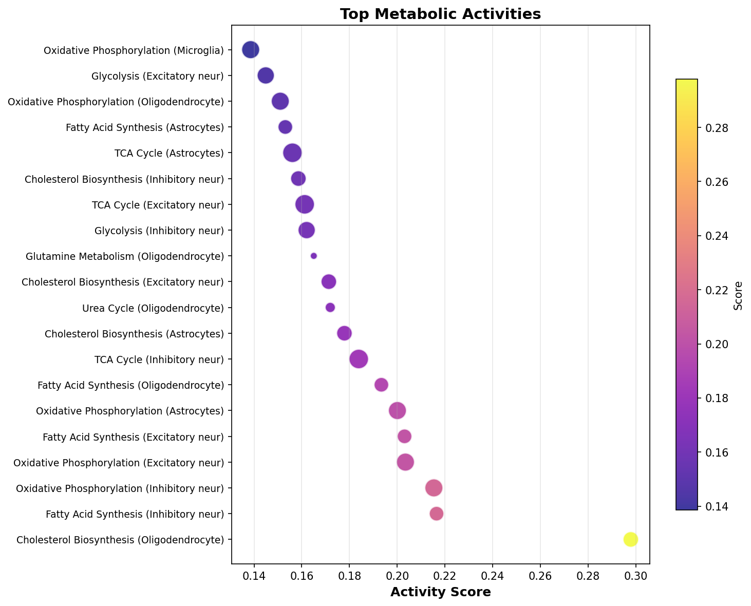 Top Metabolic Activities