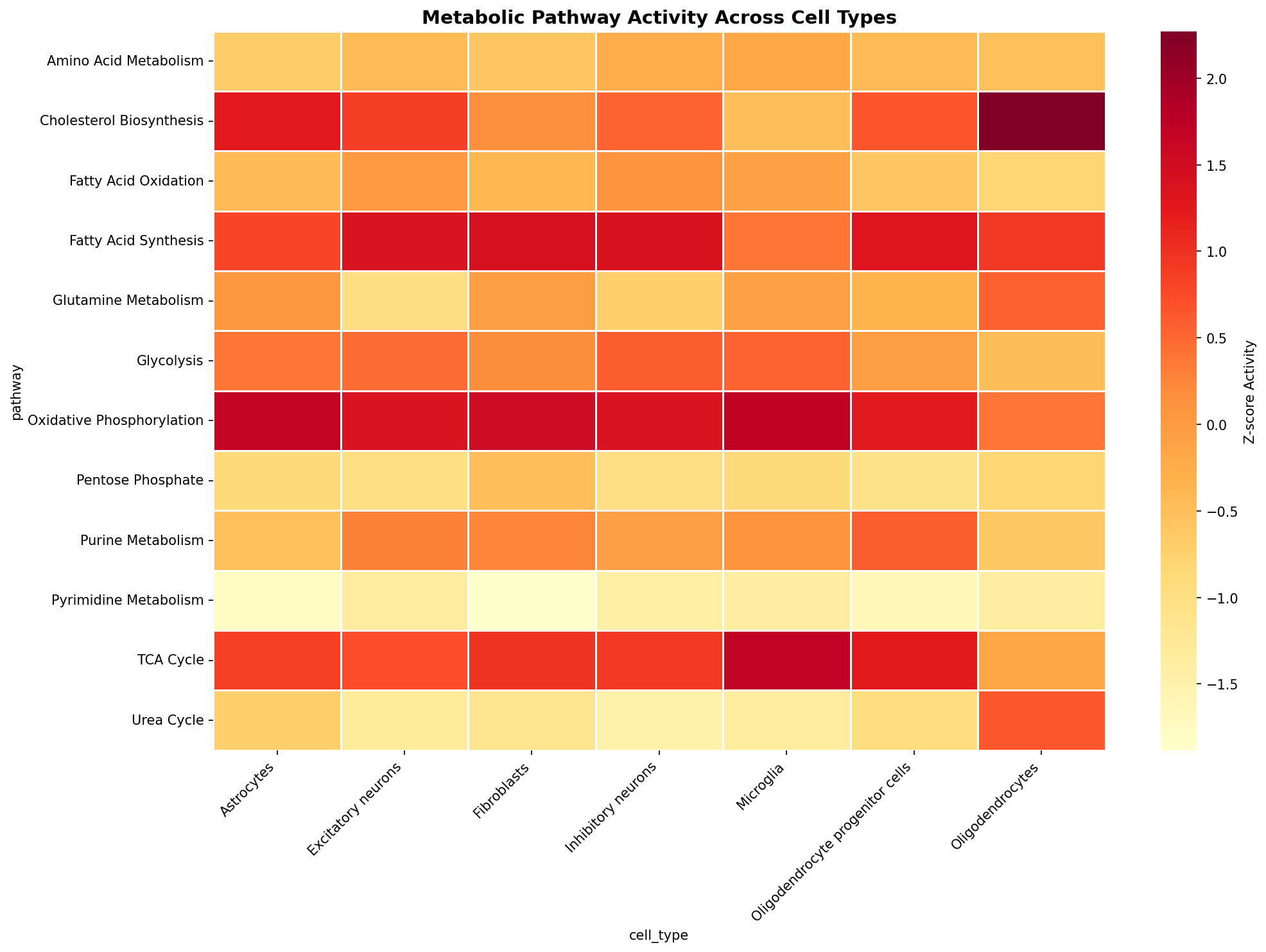 Metabolic Pathway Heatmap