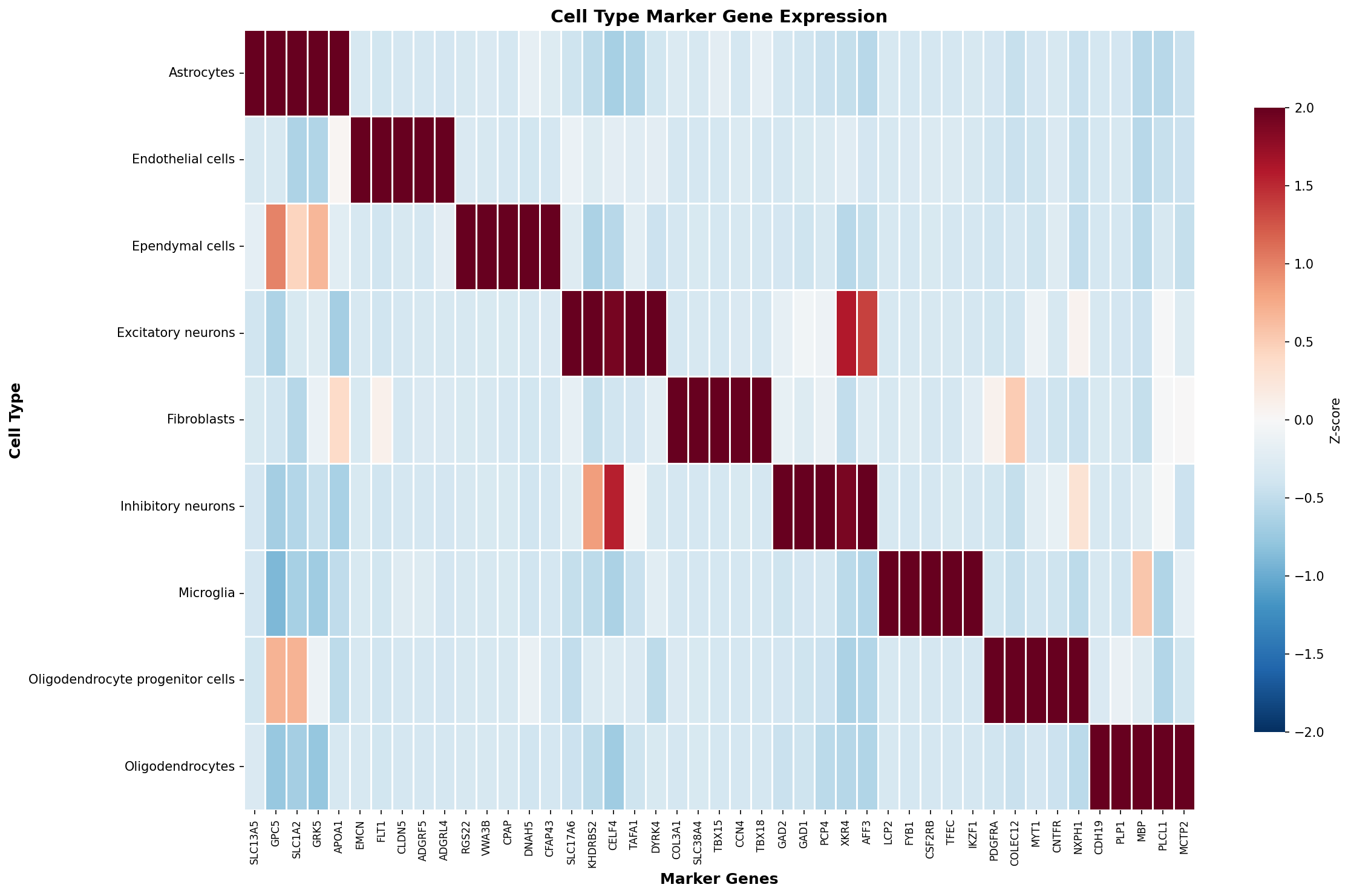 Marker Gene Heatmap