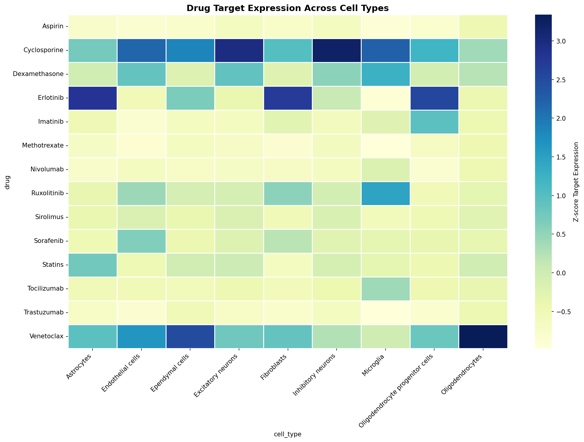Drug Target Expression Heatmap