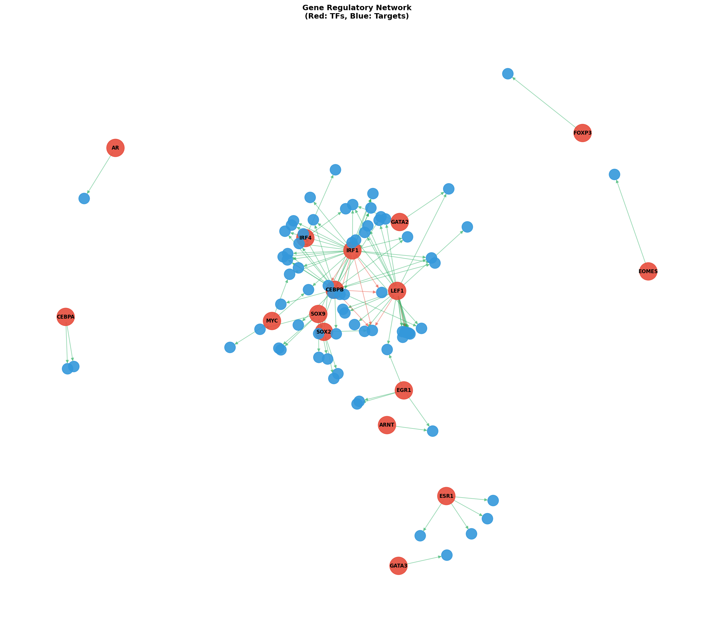 Exploratory TF-Target Association Network