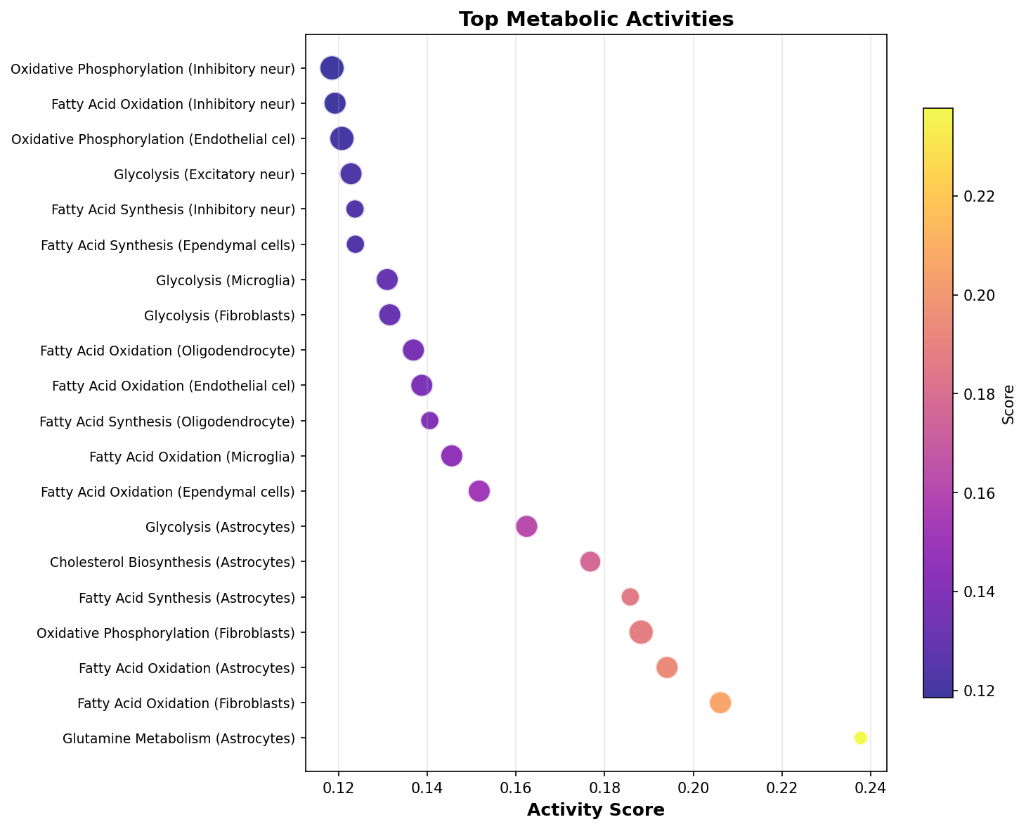 Top Metabolic Activities