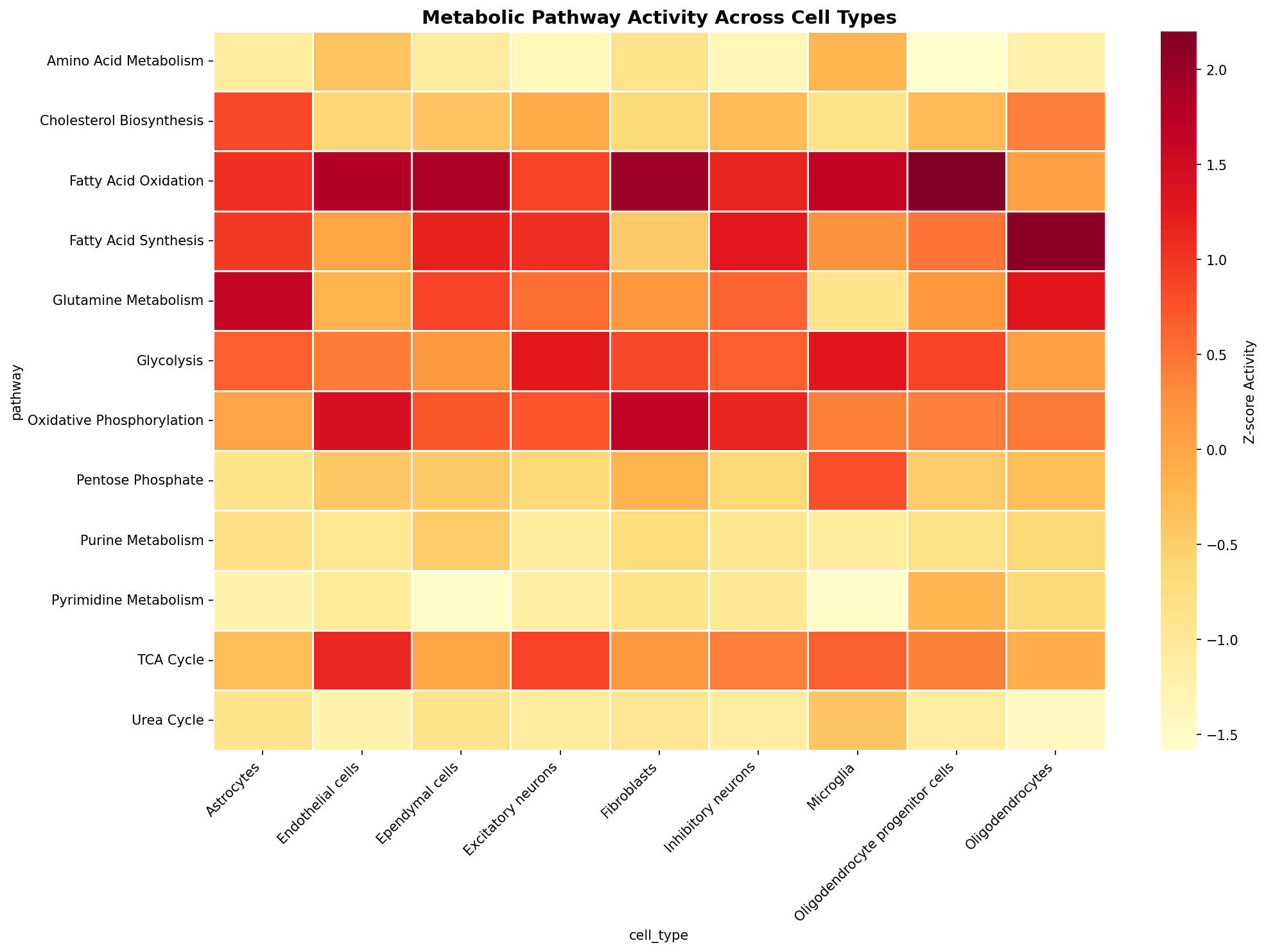 Metabolic Pathway Heatmap