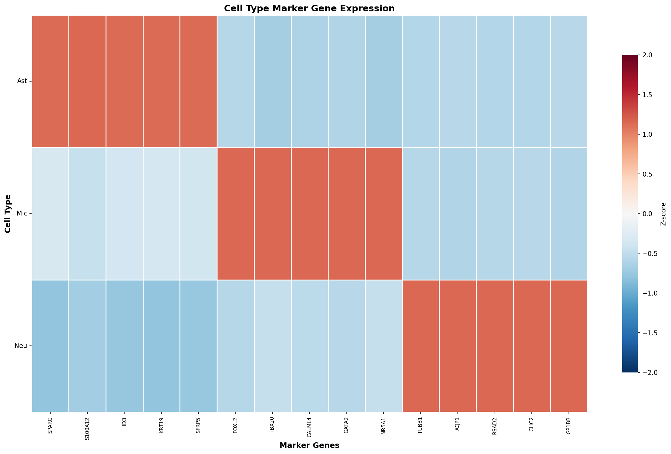 Marker Gene Heatmap