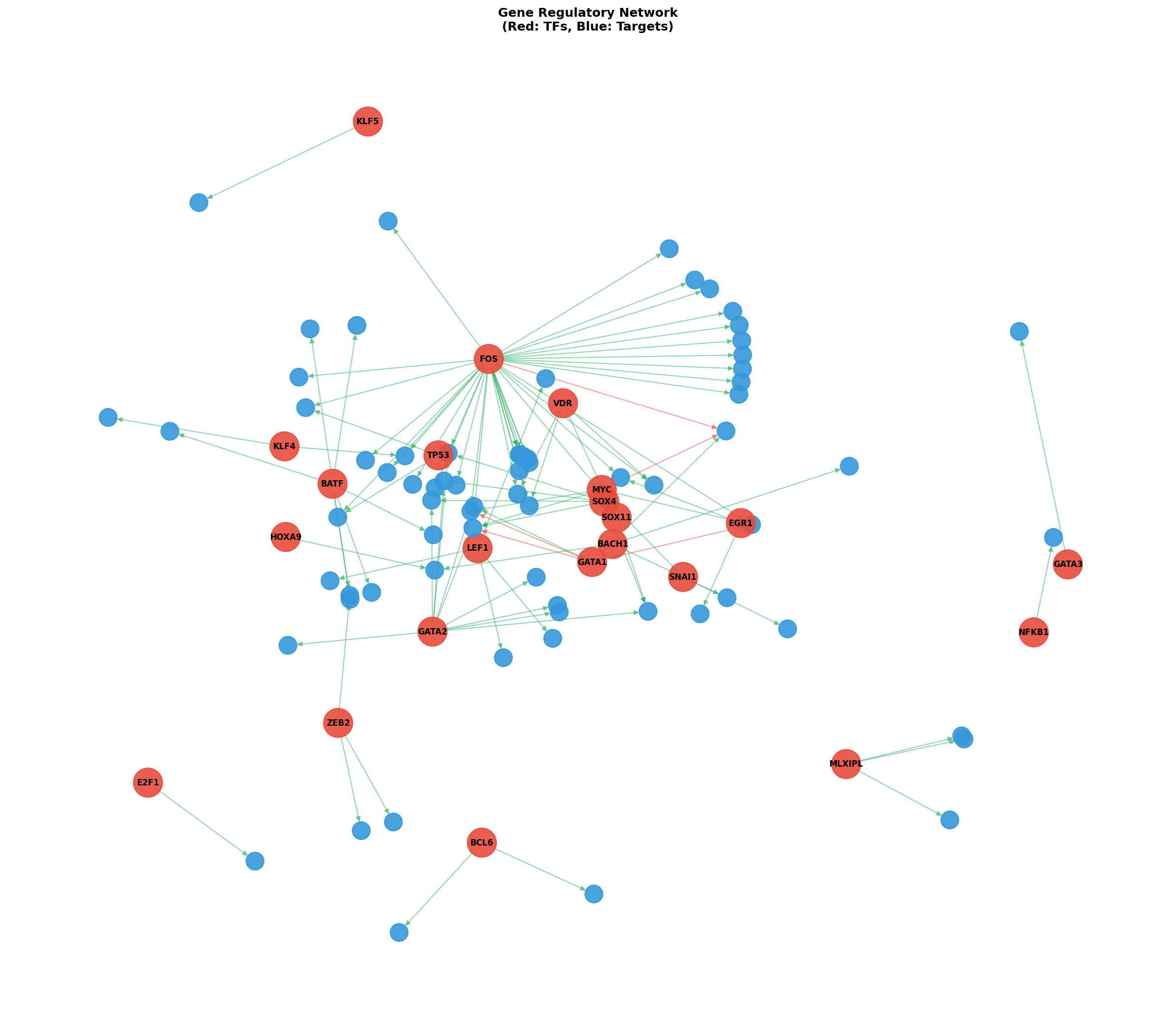 Exploratory TF-Target Association Network