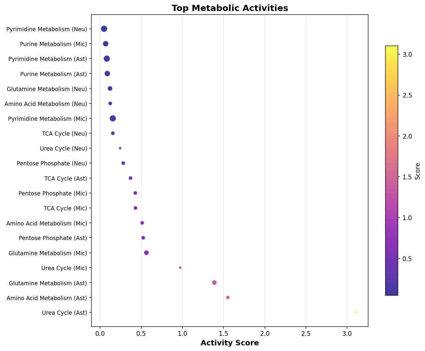 Top Metabolic Activities