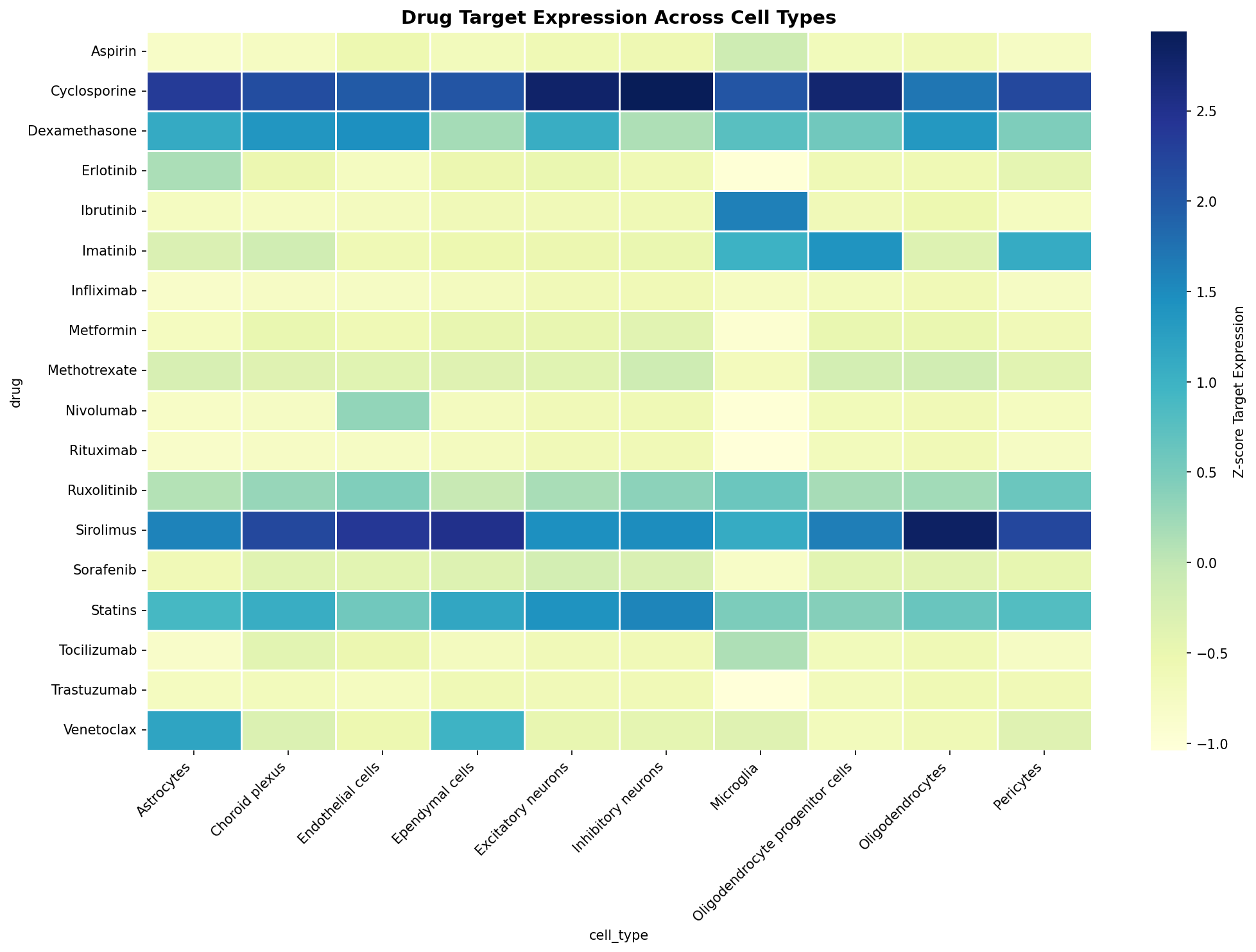 Drug Target Expression Heatmap
