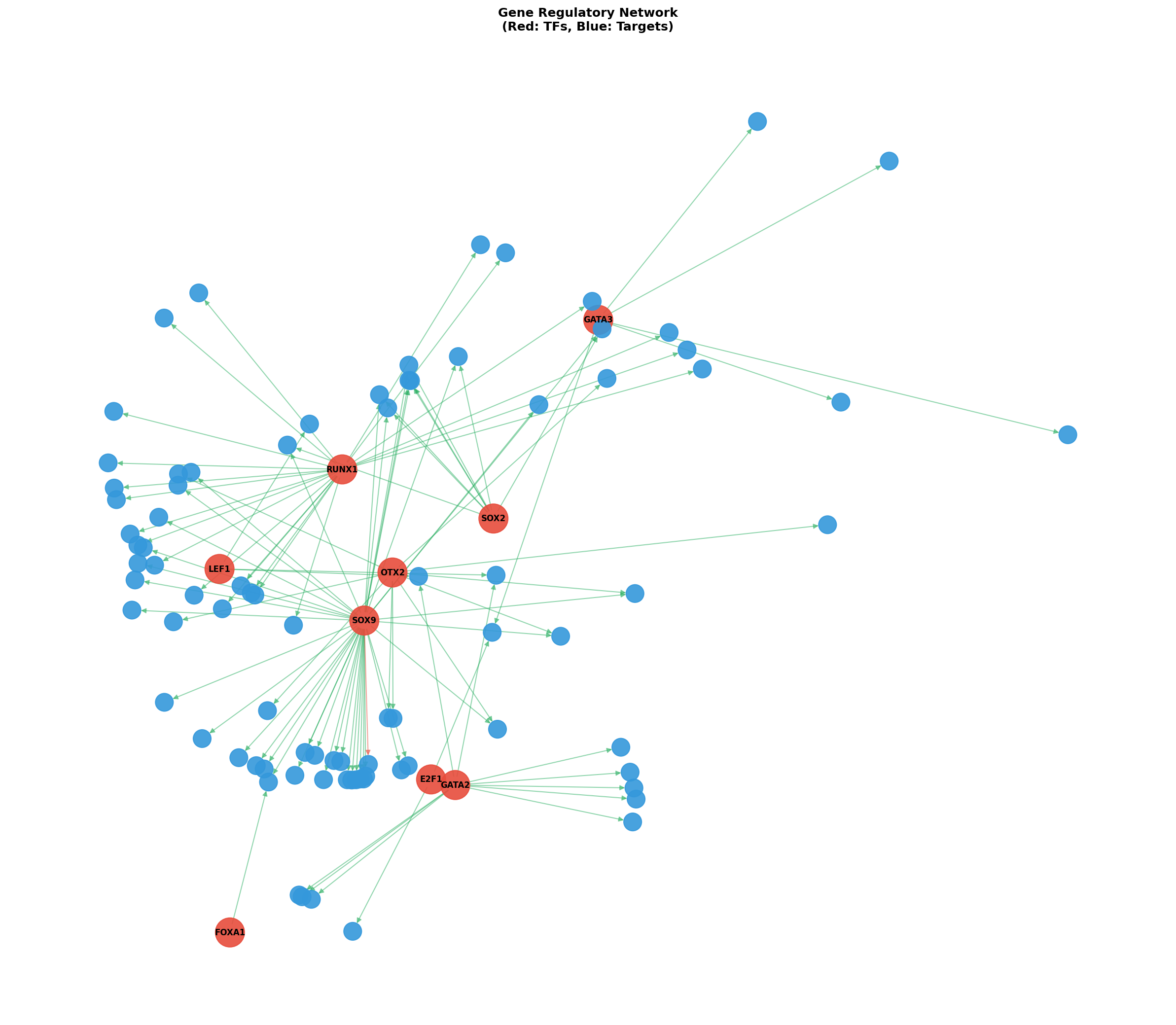 Exploratory TF-Target Association Network