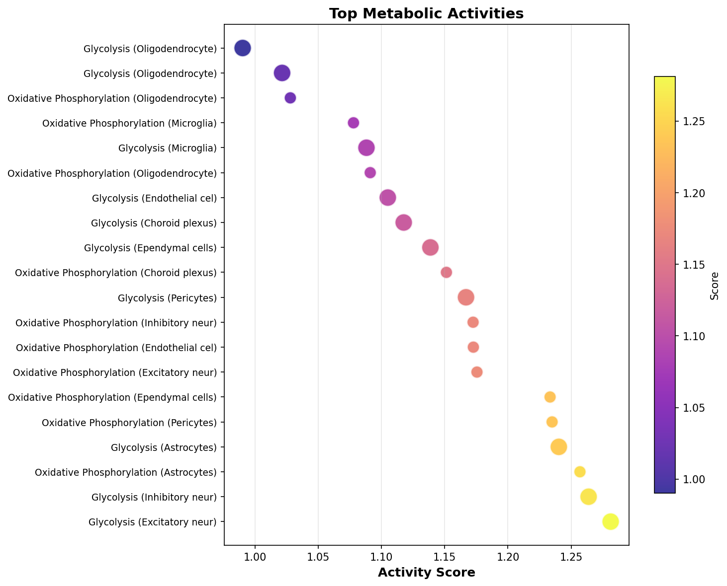Top Metabolic Activities