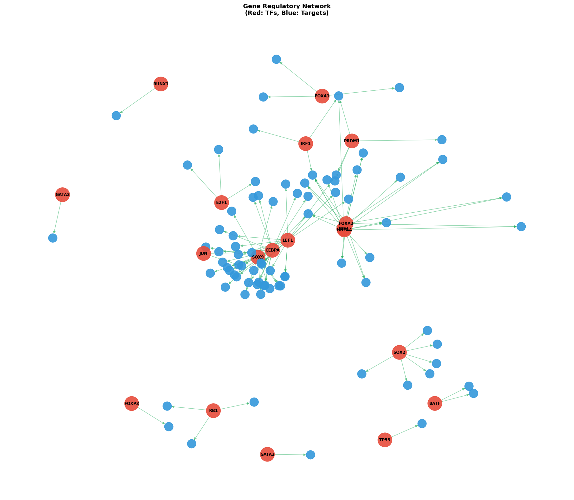 Exploratory TF-Target Association Network