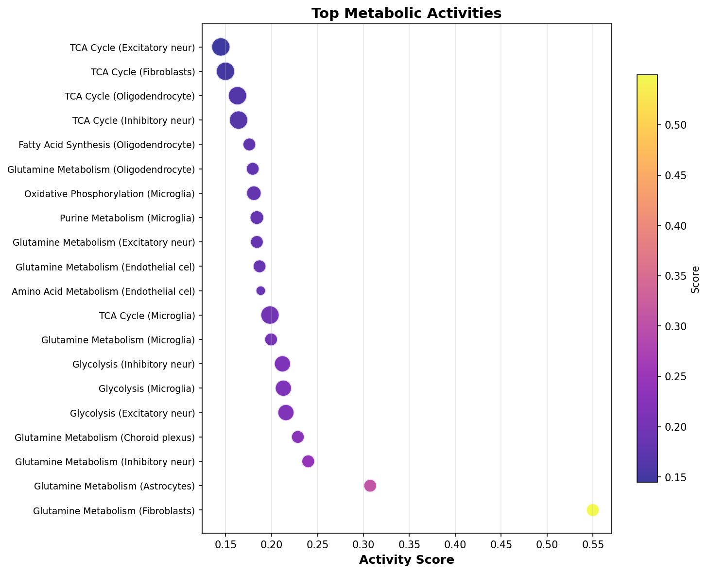 Top Metabolic Activities