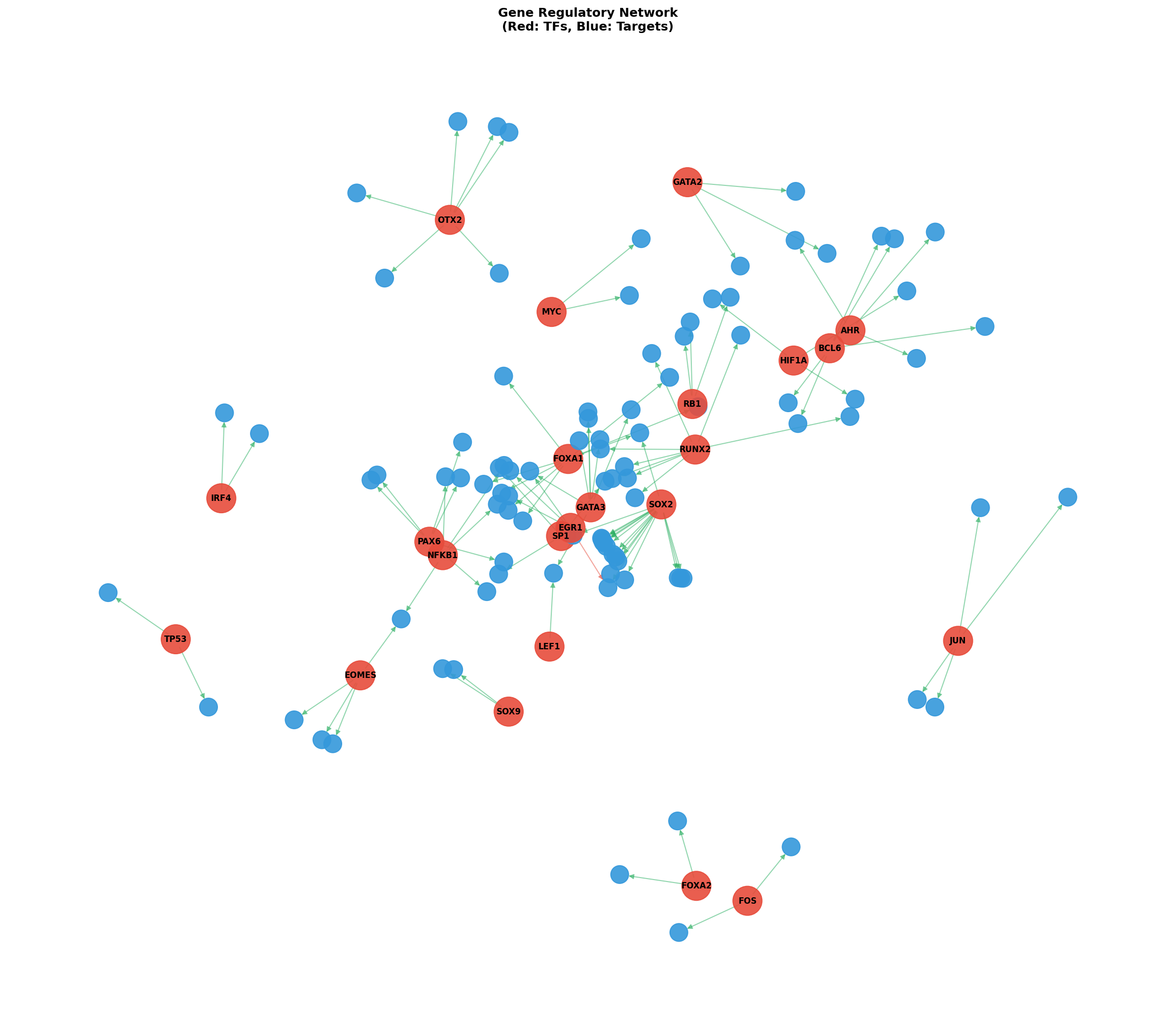 Exploratory TF-Target Association Network
