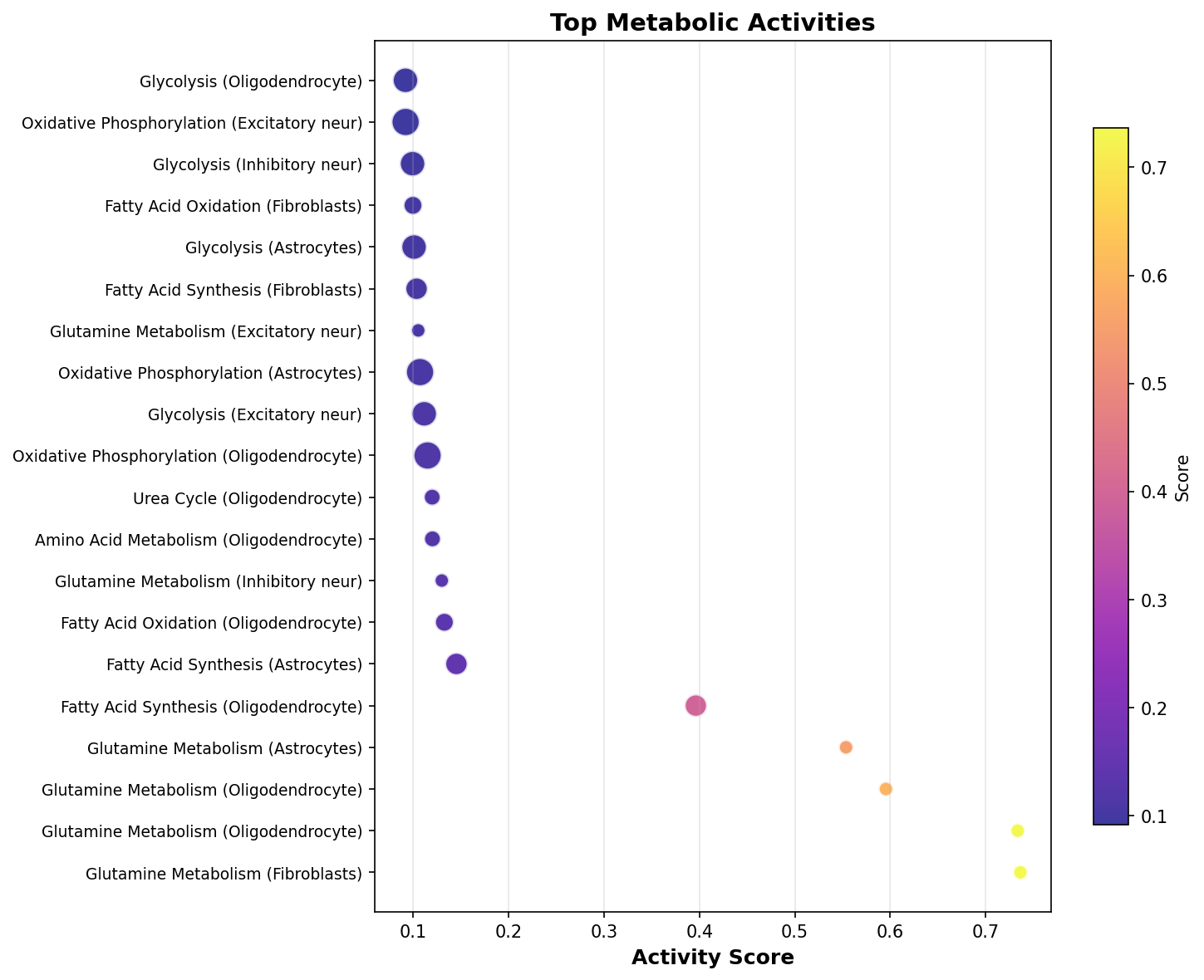 Top Metabolic Activities