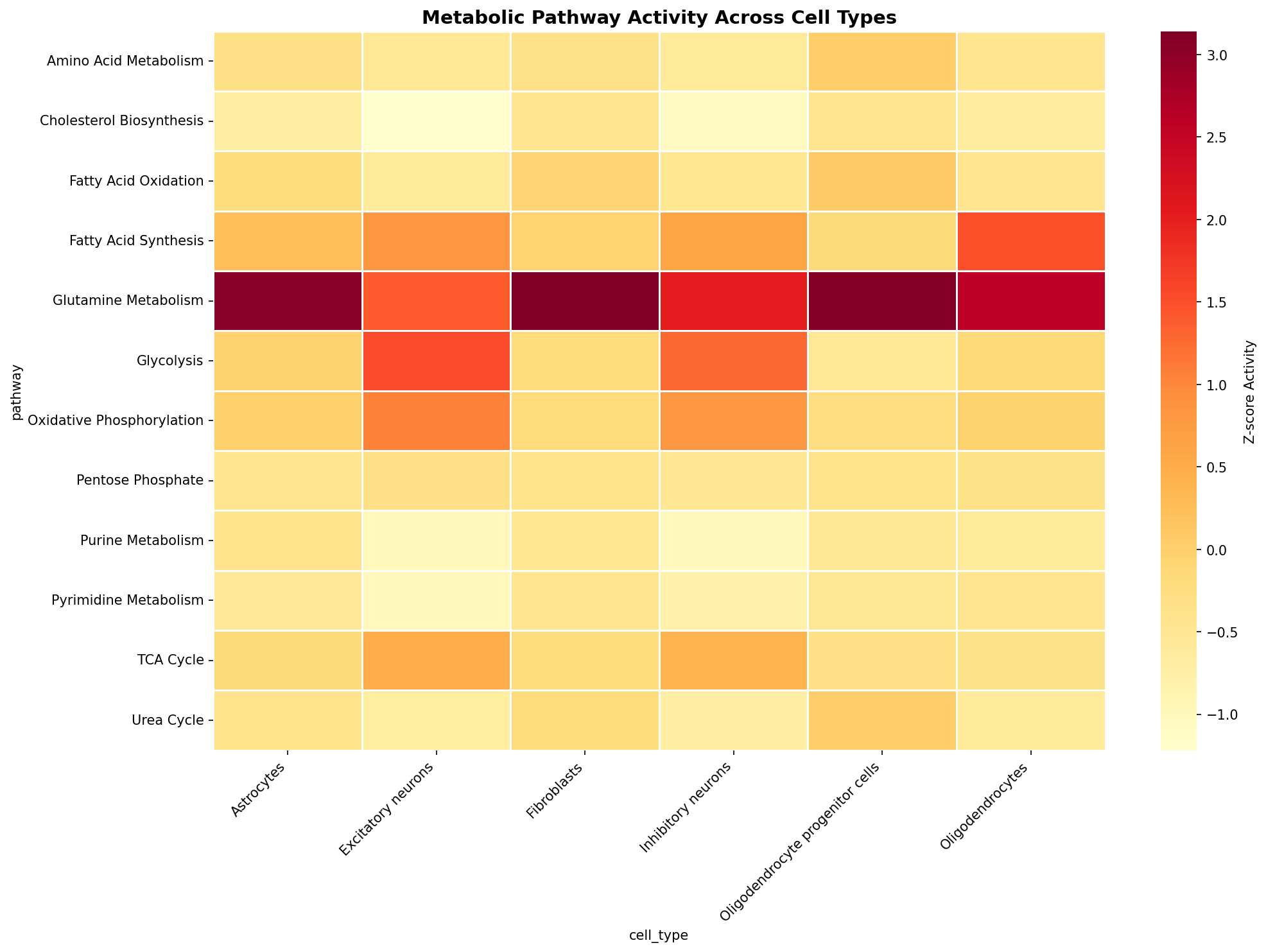 Metabolic Pathway Heatmap