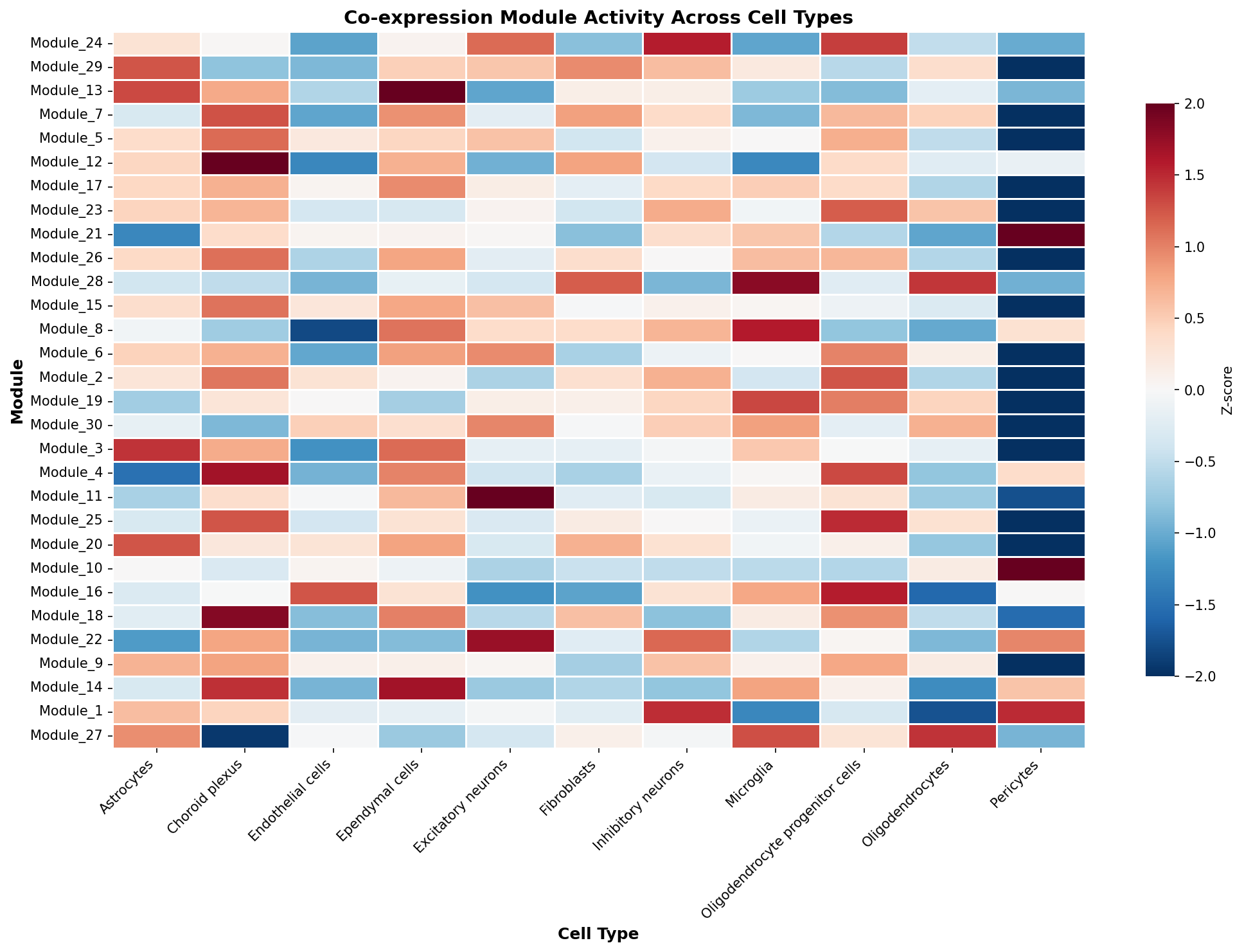 Module-Cell Type Association