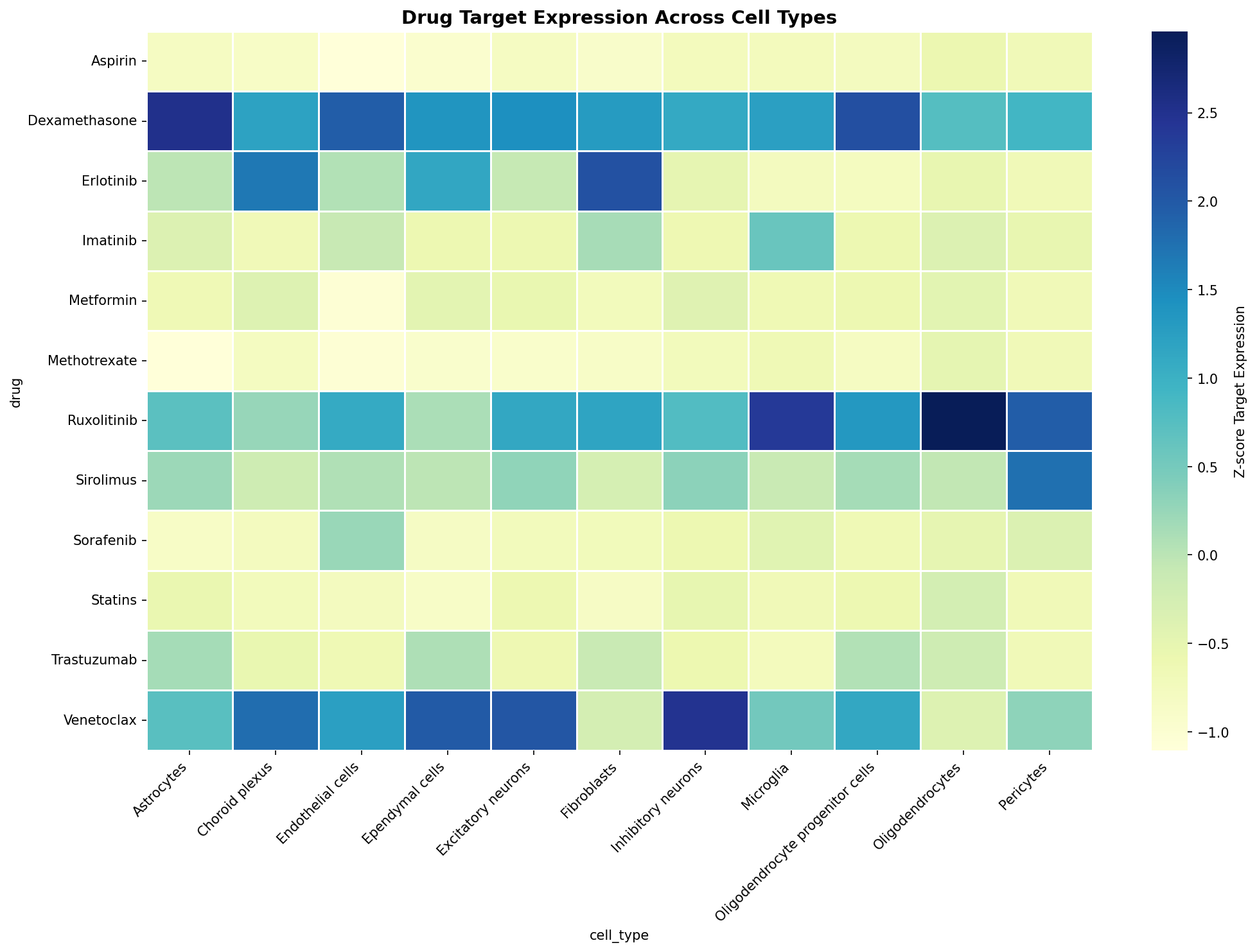 Drug Target Expression Heatmap