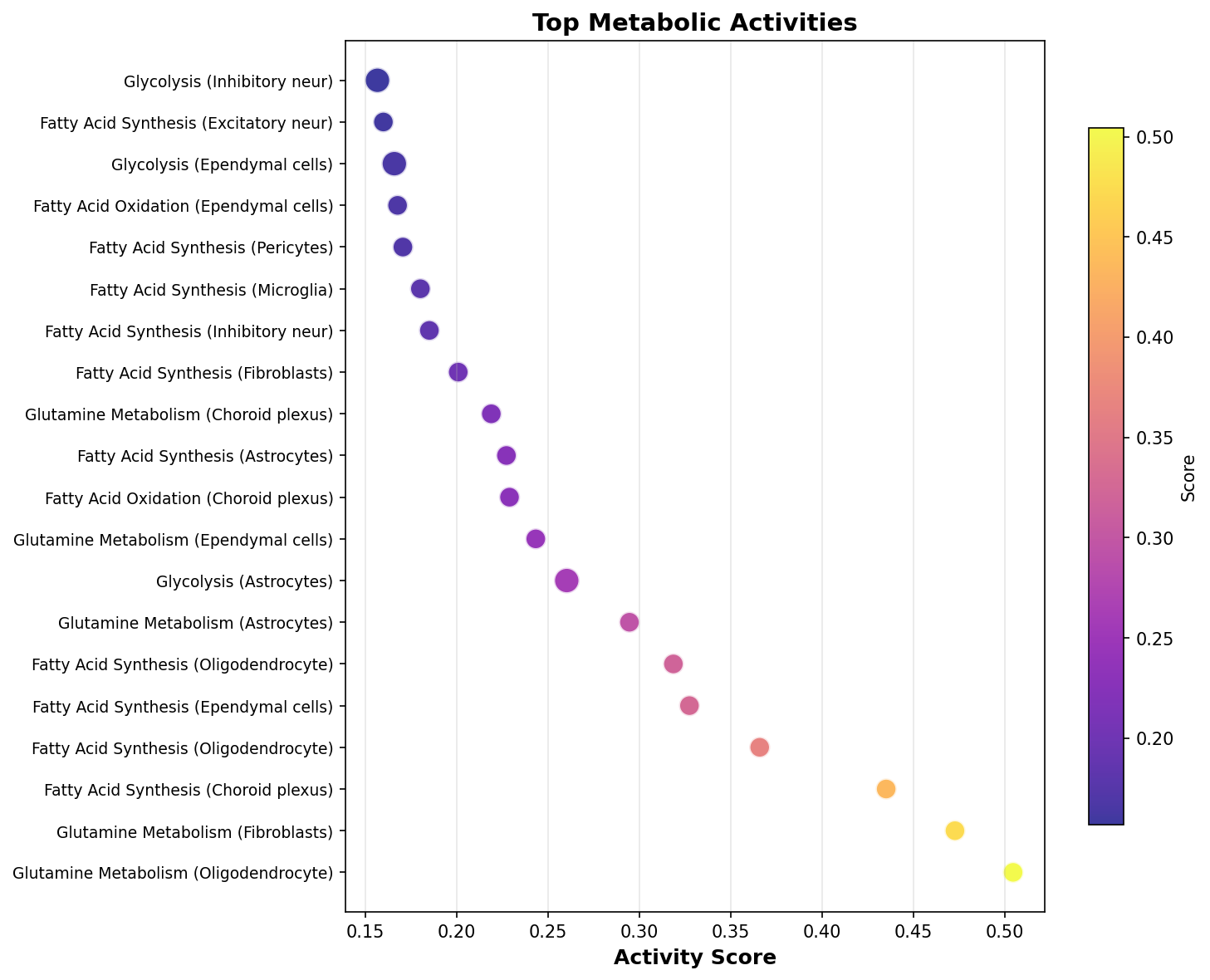 Top Metabolic Activities