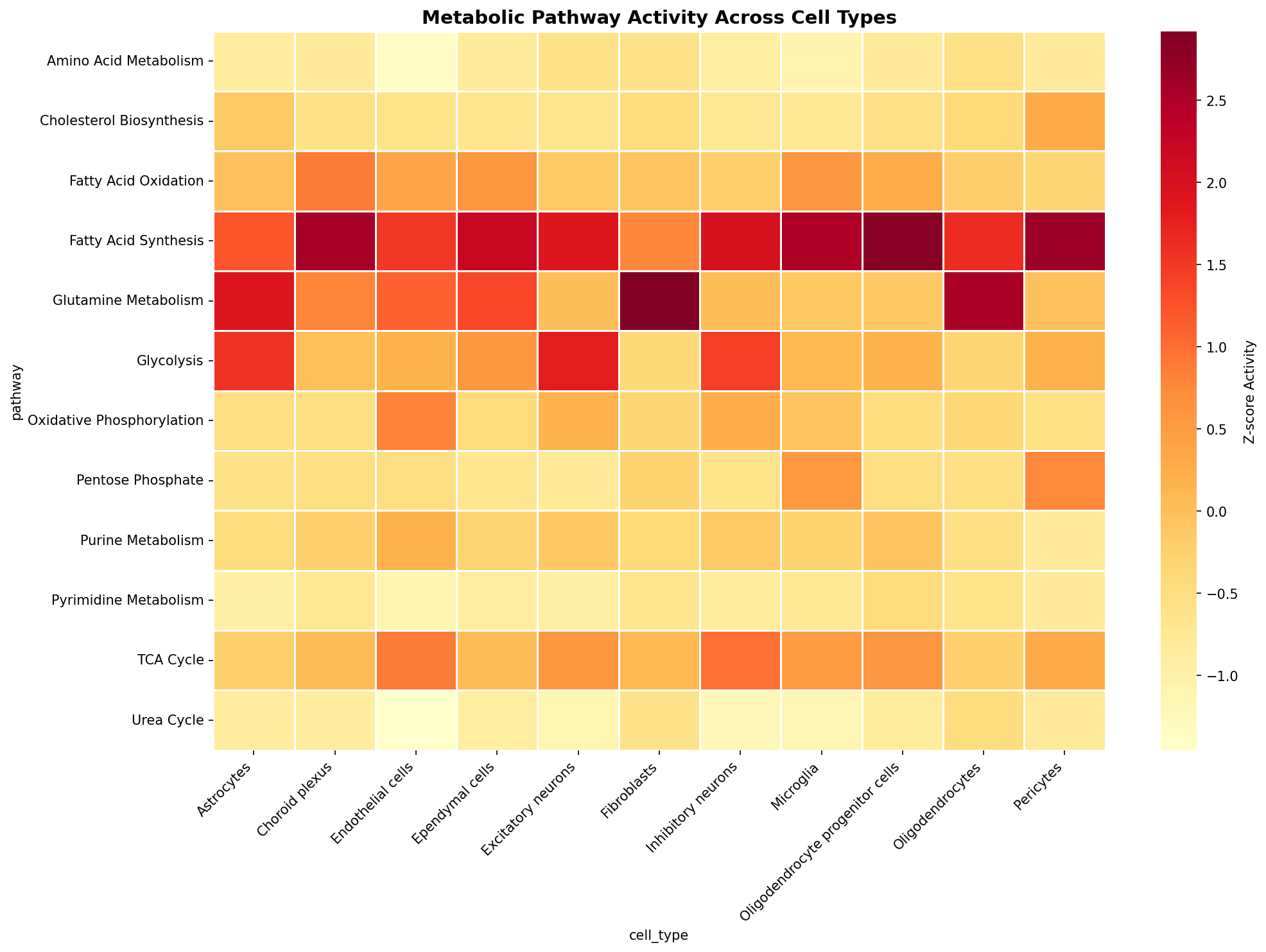 Metabolic Pathway Heatmap