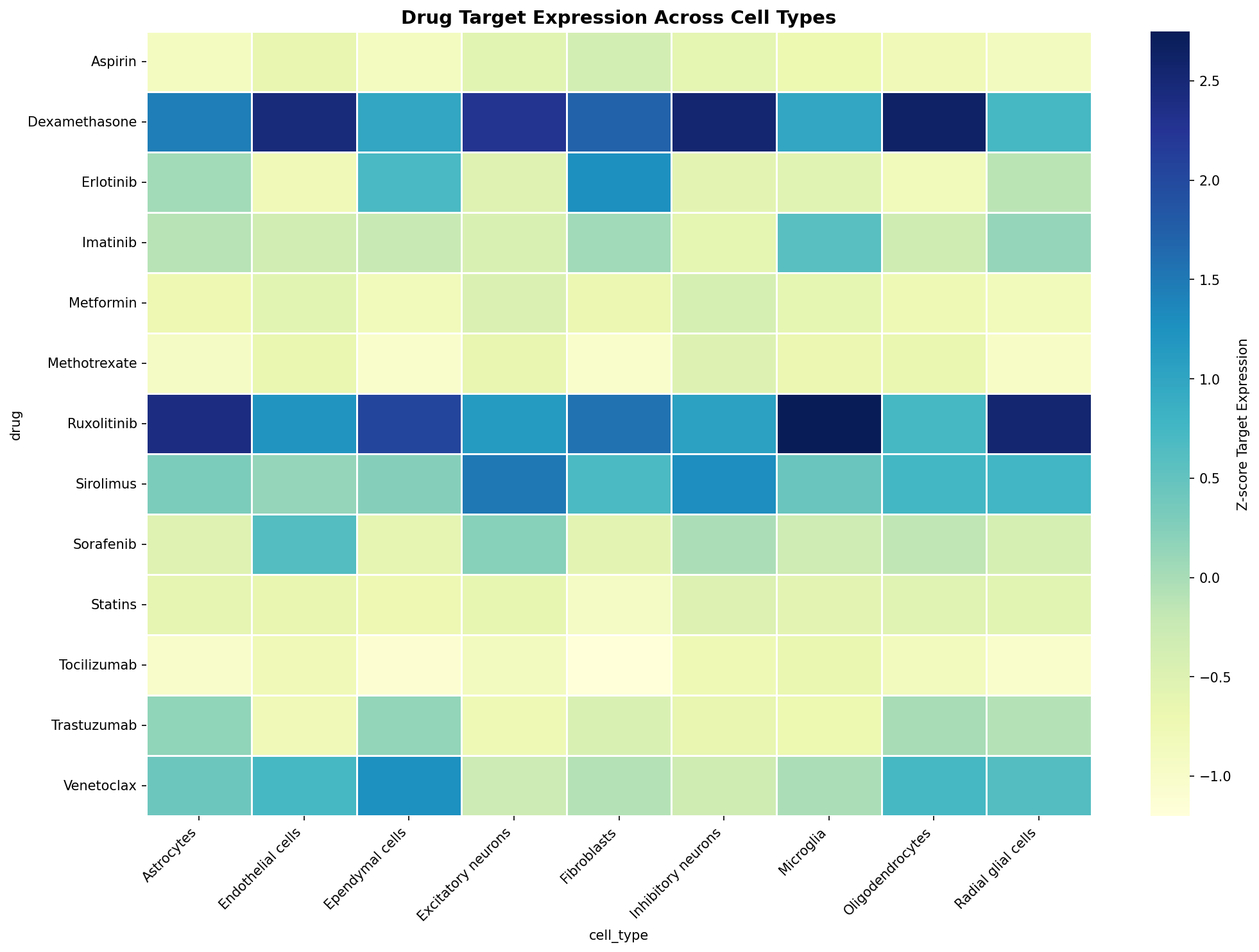 Drug Target Expression Heatmap