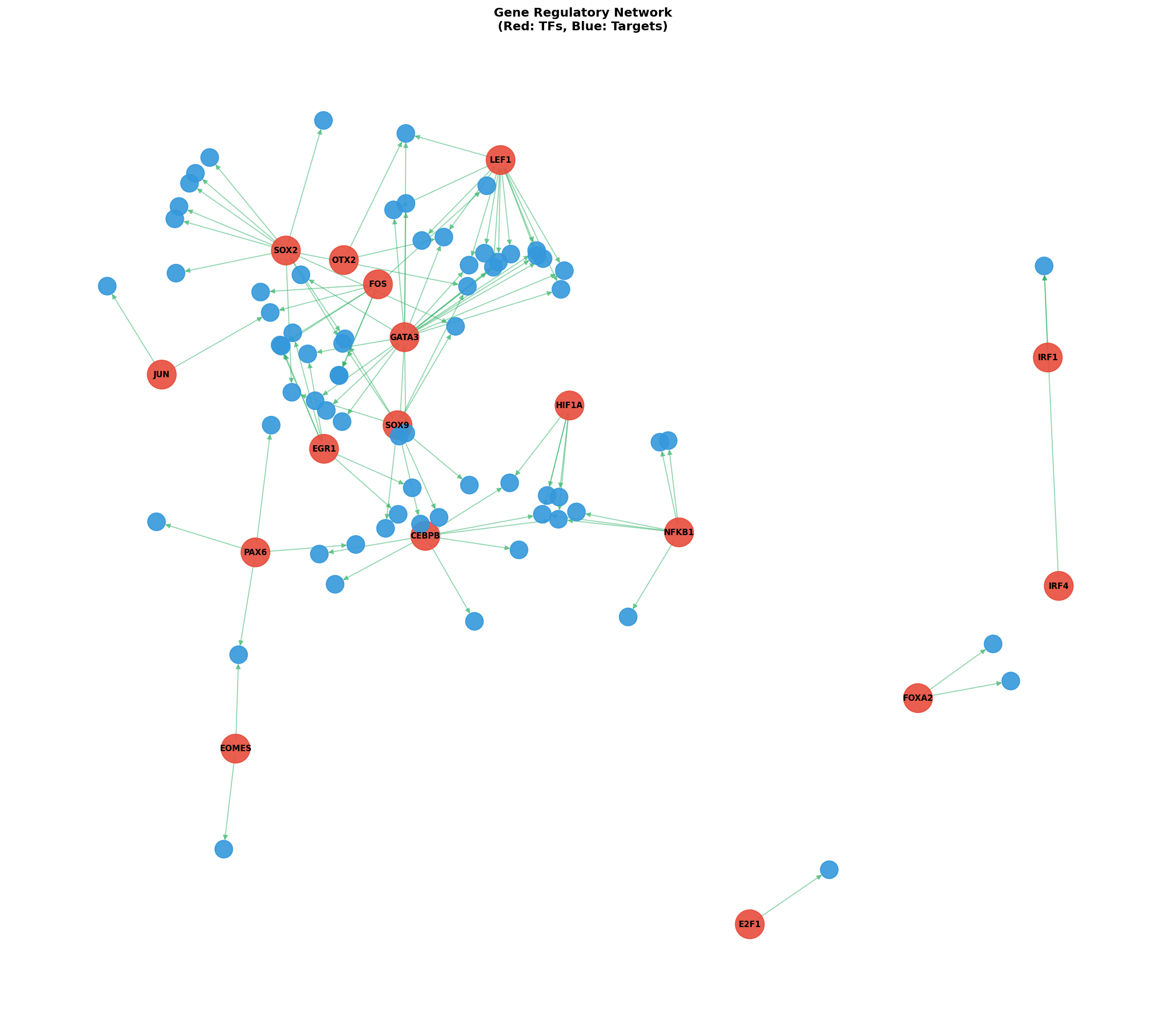 Exploratory TF-Target Association Network