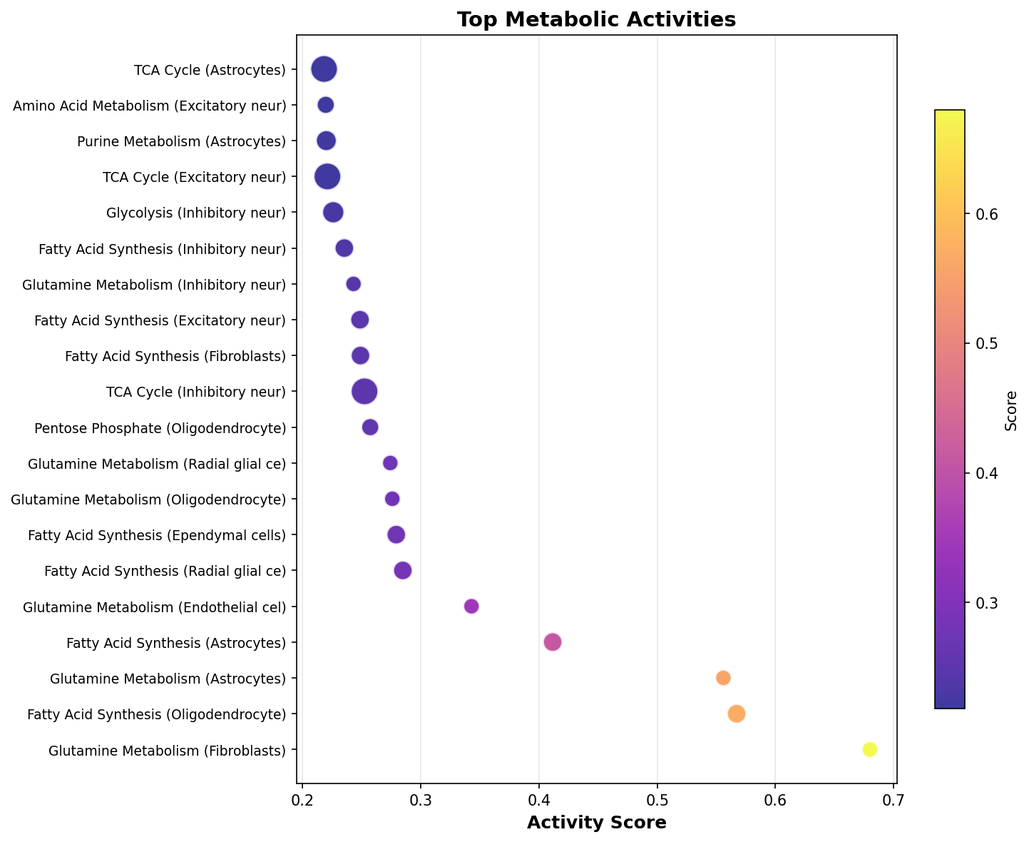 Top Metabolic Activities